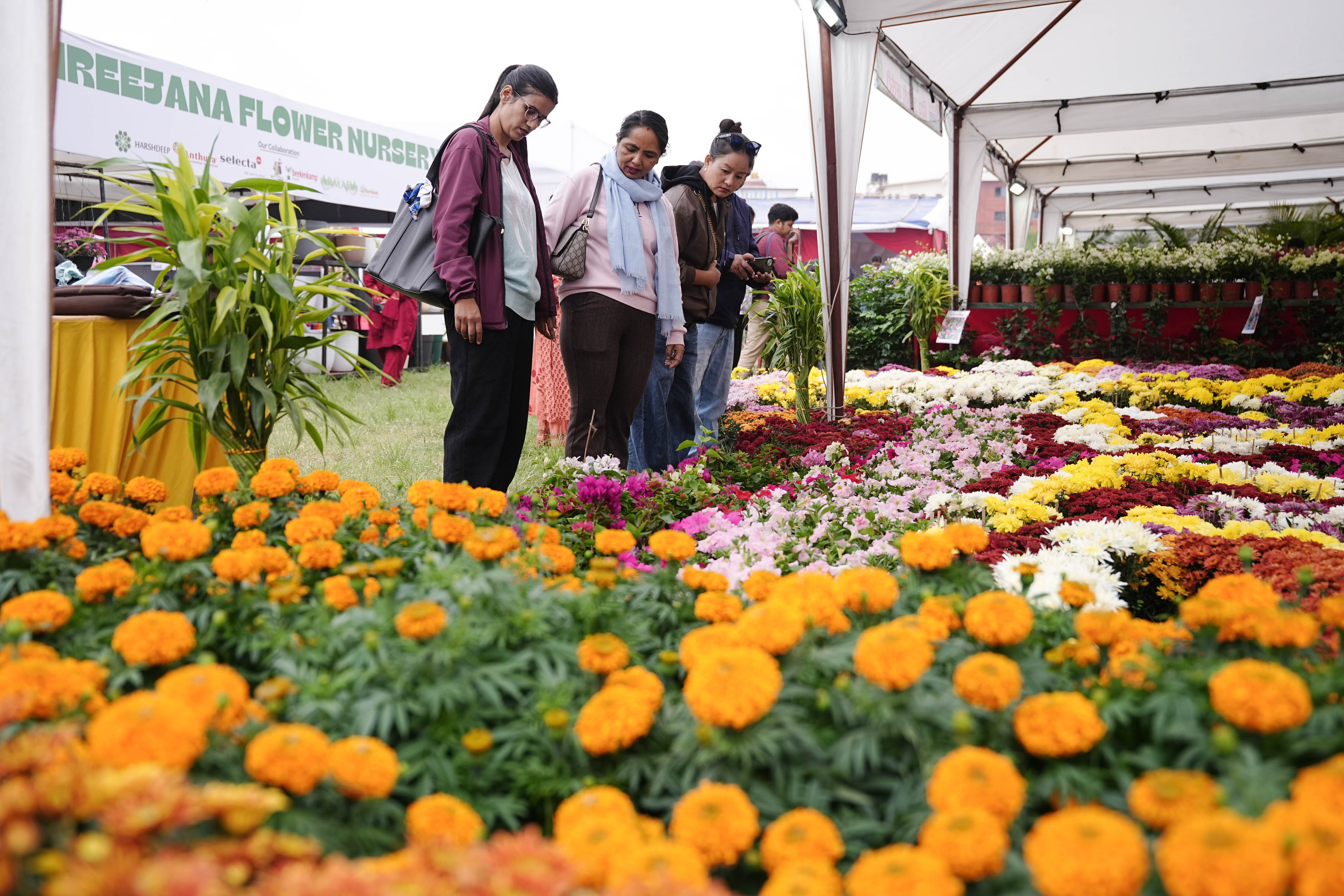Flora-Expo--2641-1793257257.jpg