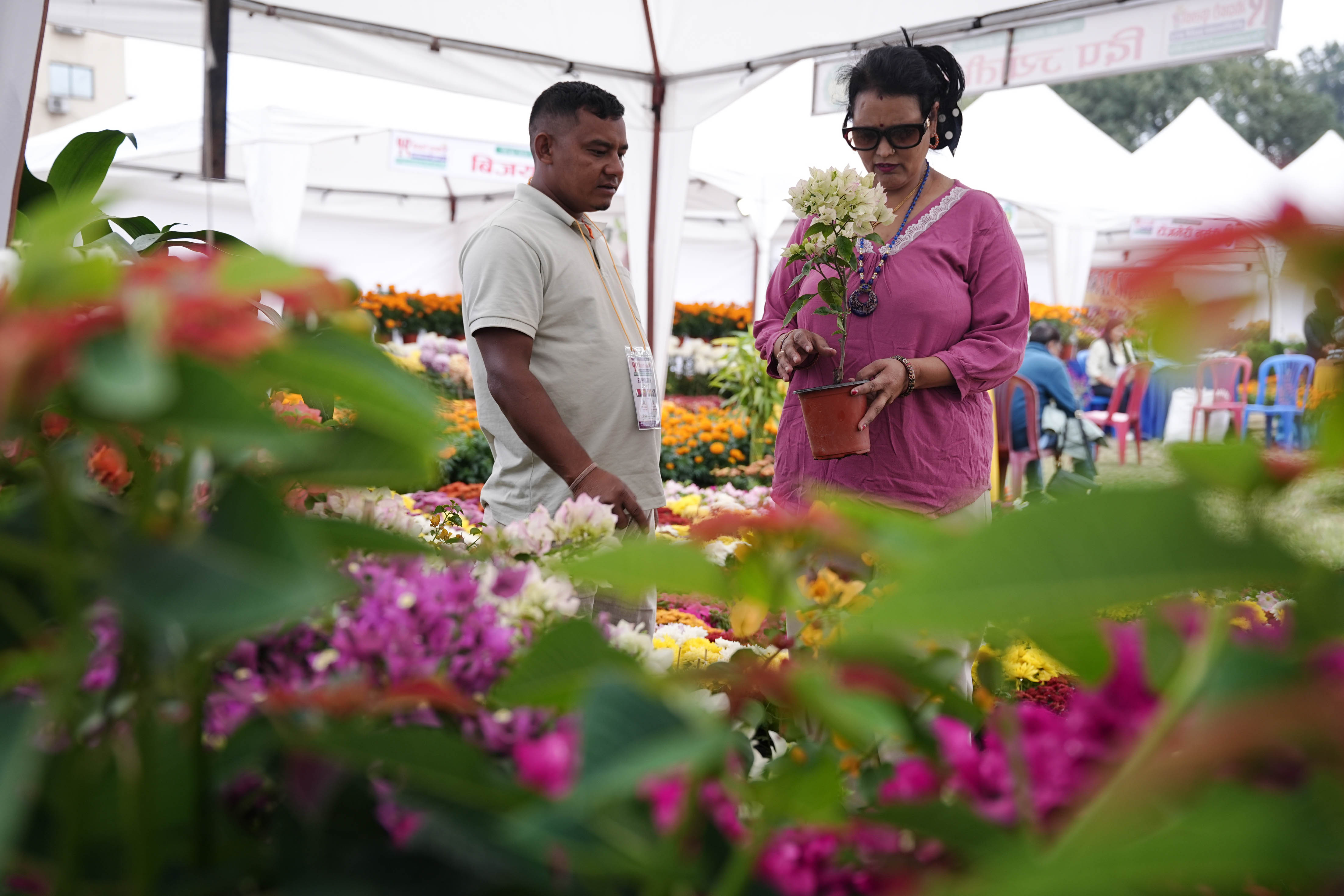 Flora-Expo--2646-1793257267.jpg