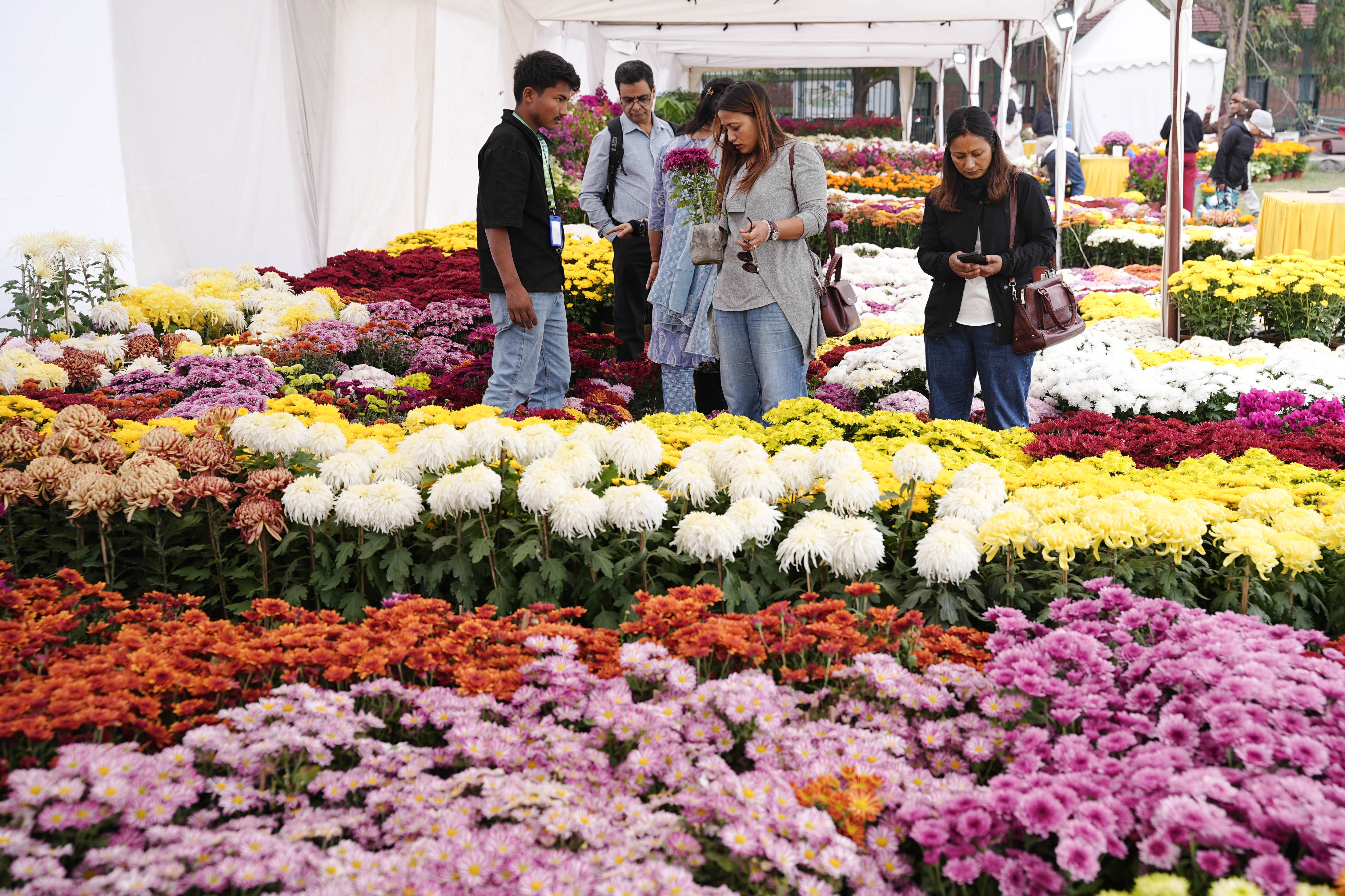 Flora-Expo--2648-1793257271.jpg