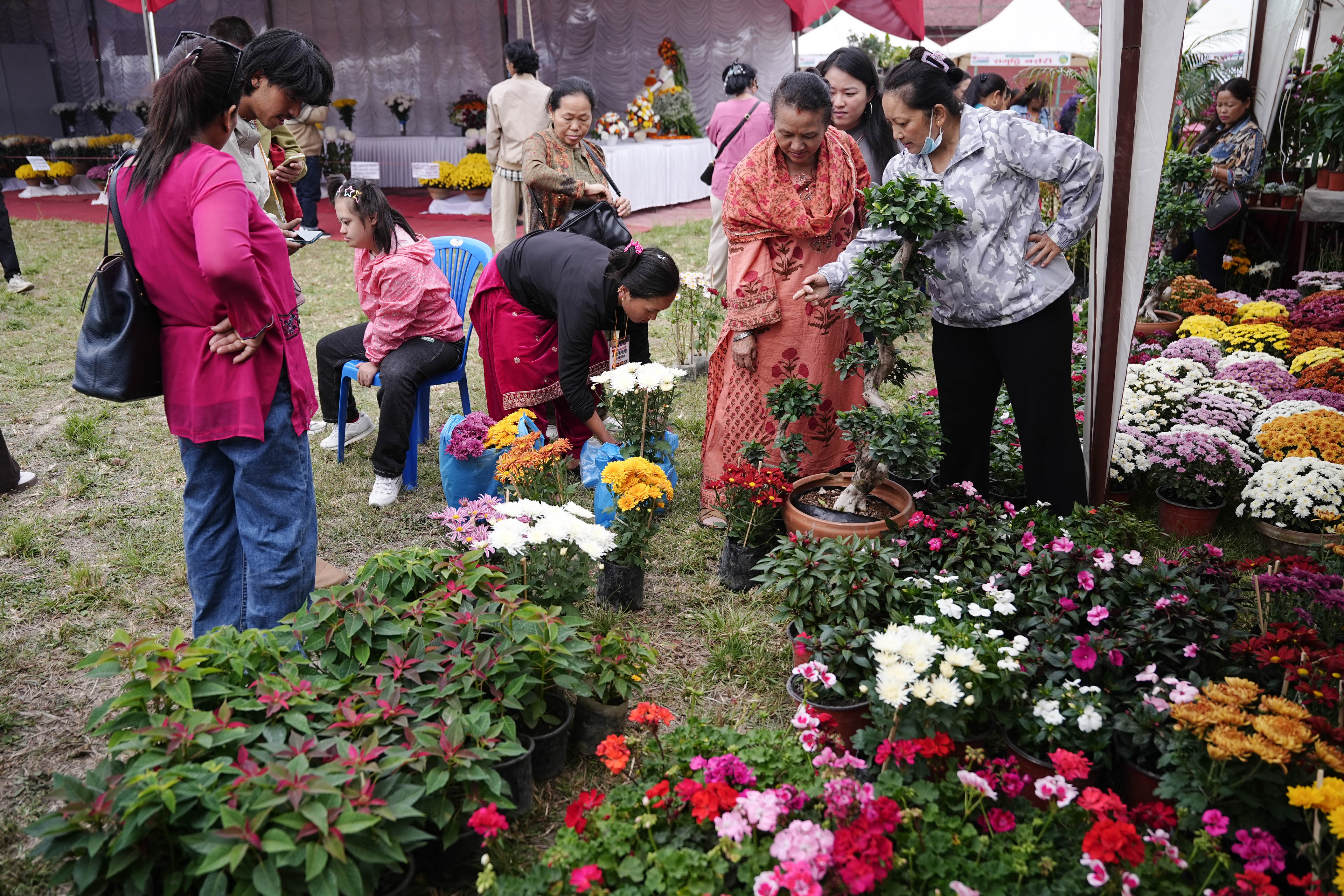 Flora-Expo--2650-1793257275.jpg