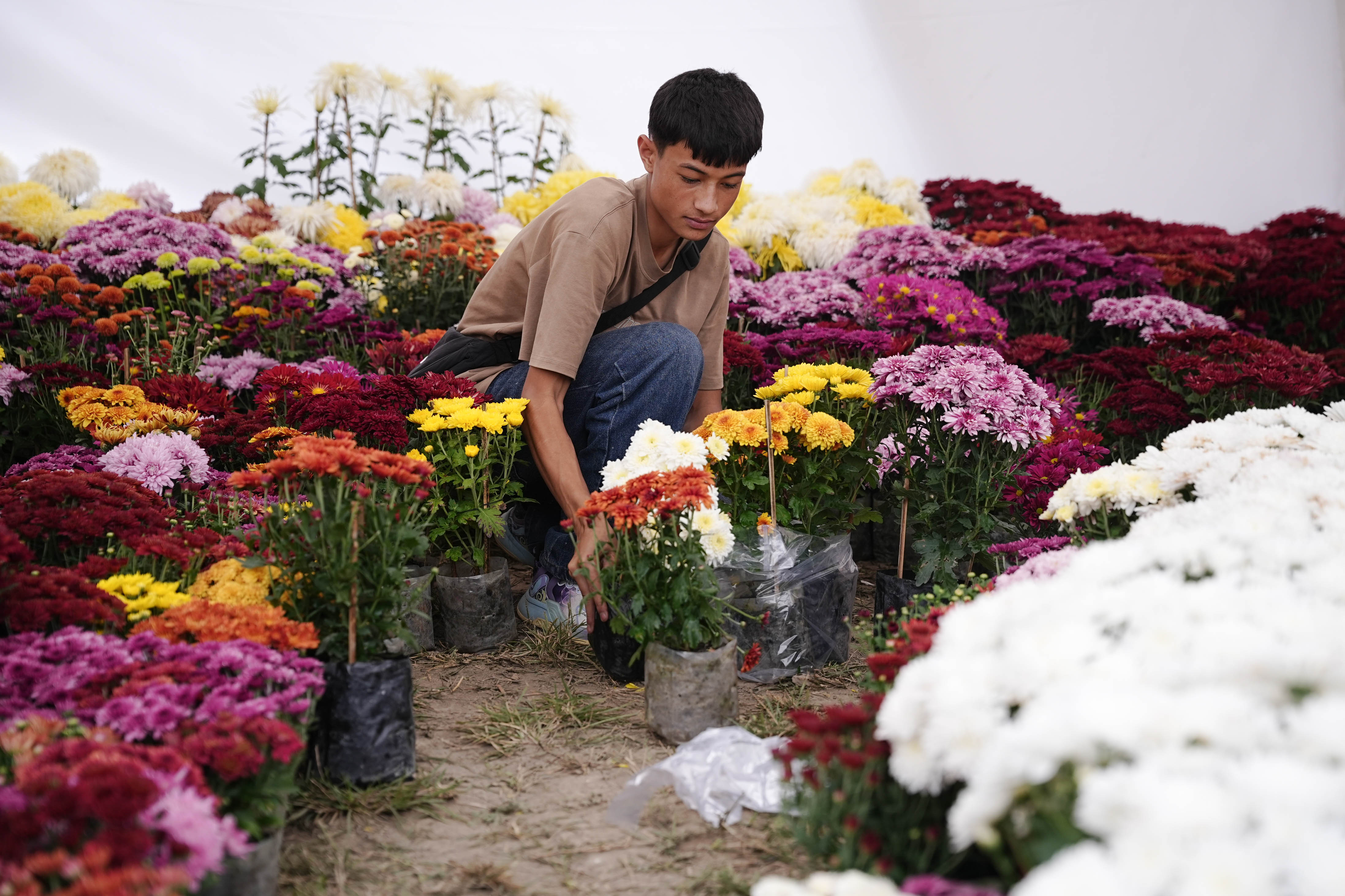 Flora-Expo--2651-1793257276.jpg