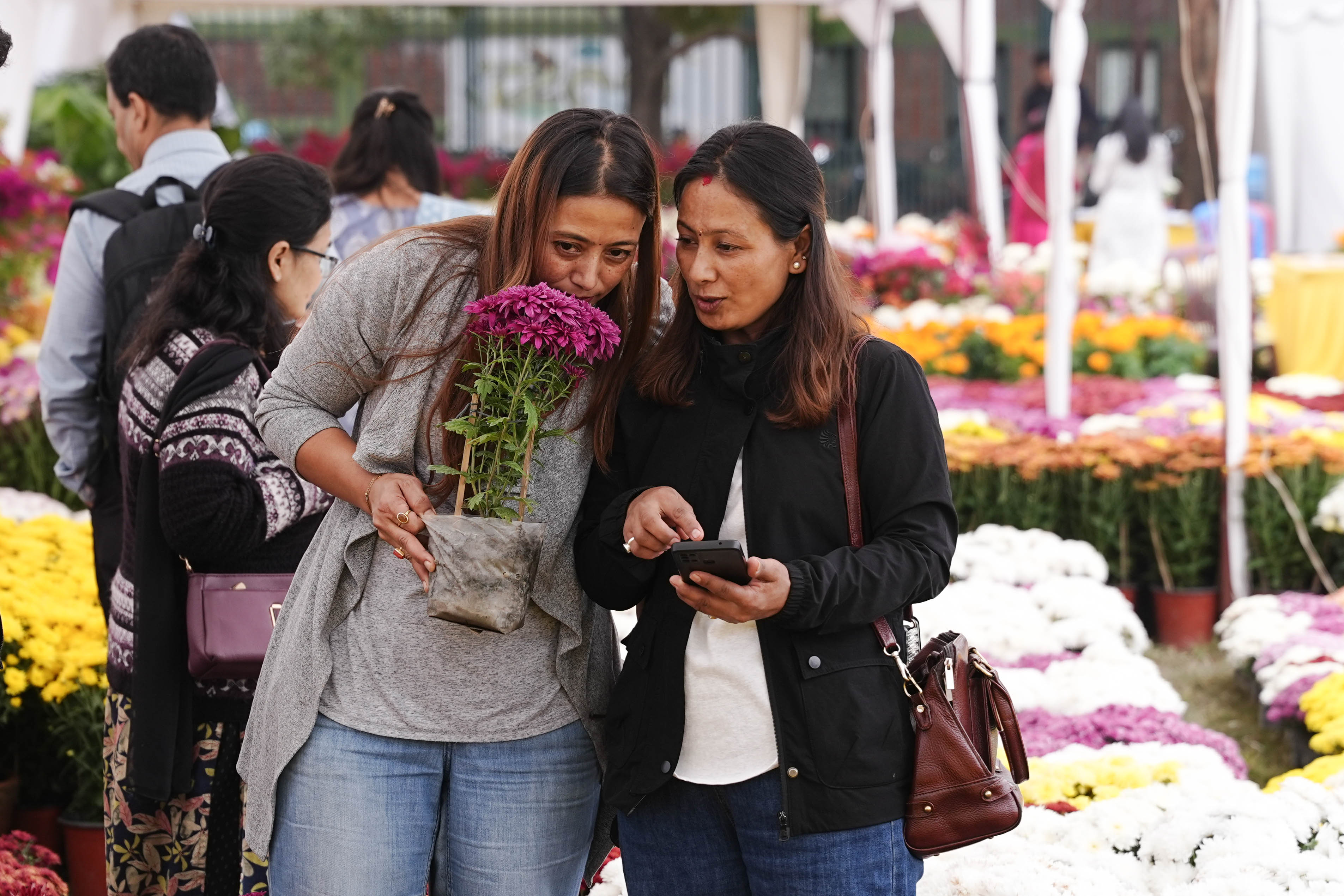 Flora-Expo--2652-1793257279.jpg