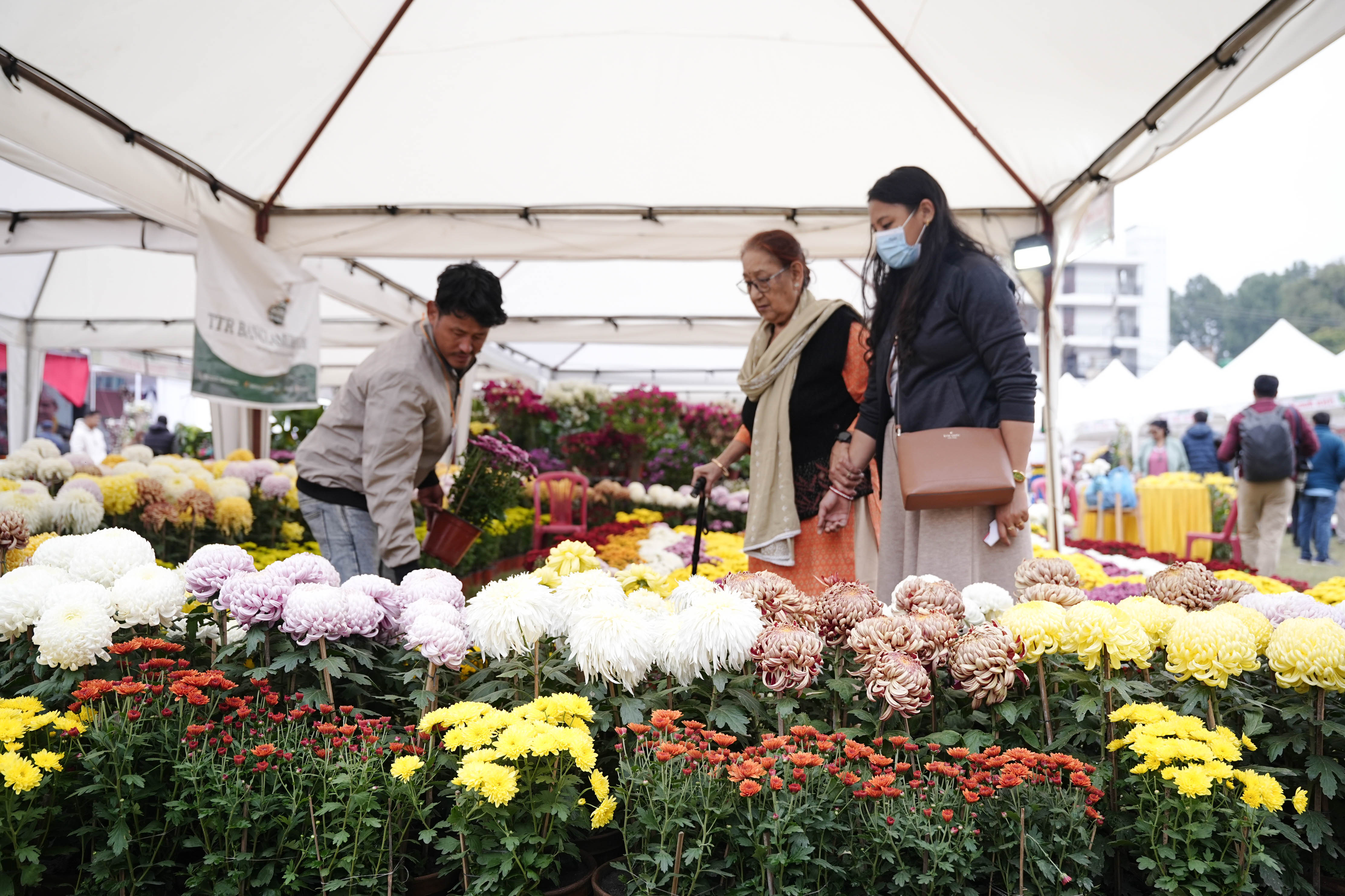 Flora-Expo--2653-1793257279.jpg