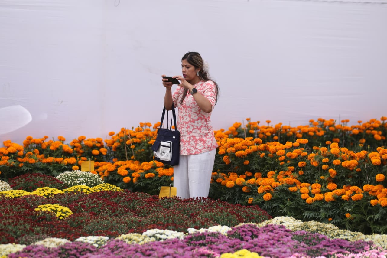 Flora-expo_NPL-(1)-1760426655.jpeg
