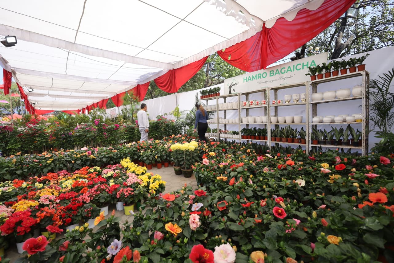 Flora-expo_NPL-(15)-1760426653.jpeg