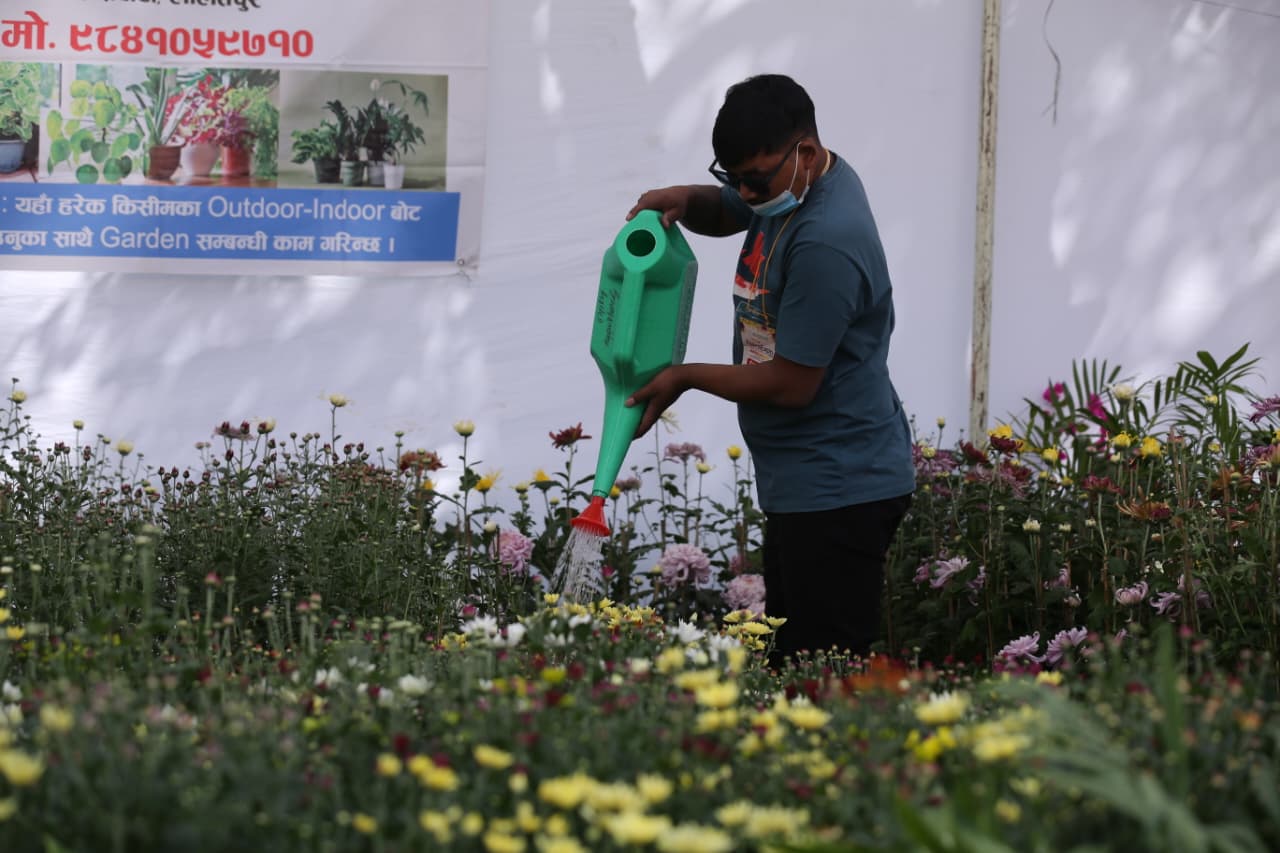Flora-expo_NPL-(3)-1760426656.jpeg