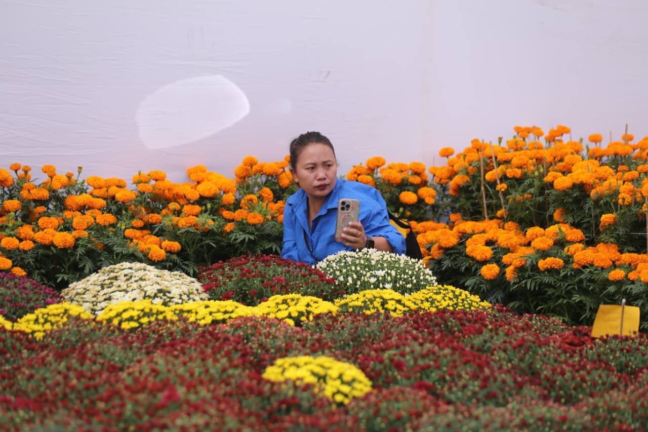 Flora-expo_NPL-(4)-1760426656.jpeg