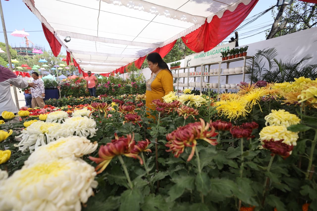 Flora-expo_NPL-(7)-1760426654.jpeg