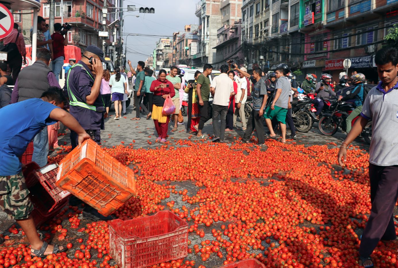 उचित मूल्य नपाएको भन्दै सडकमा फ्याँकियो गोलभेँडा