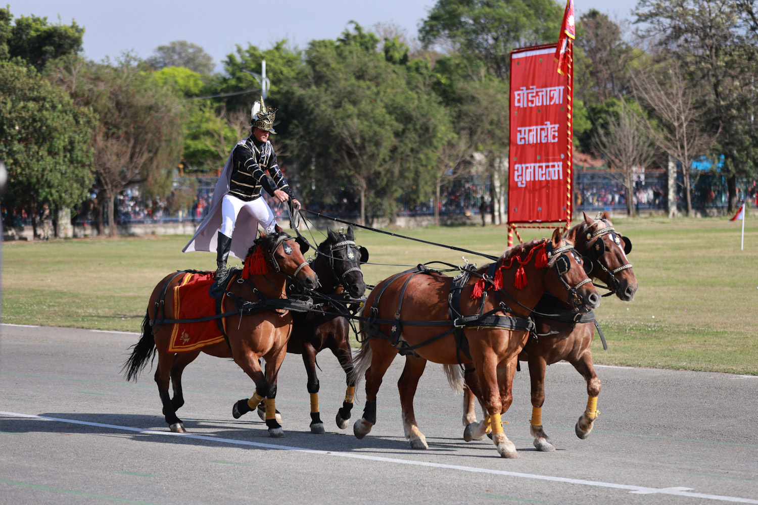 Ghodejatra-2082-Nepal-photo-library-04-1773831701.JPG