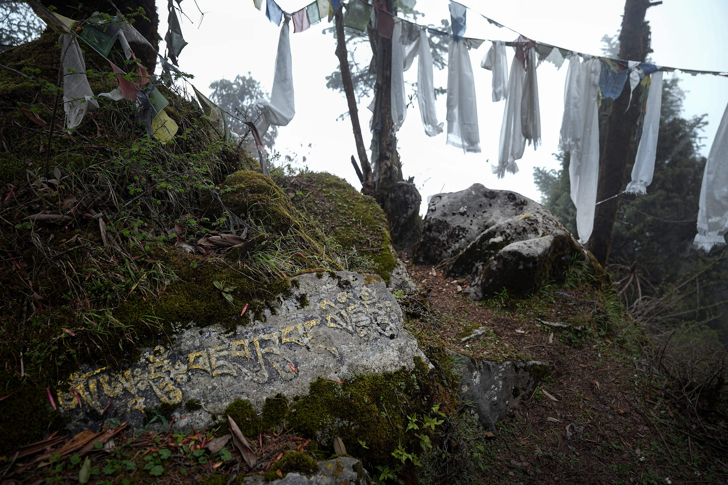 Ghopteghyang-to-Thorepati_Hiking_NPL-PCT_-(1)-1782532554.JPG