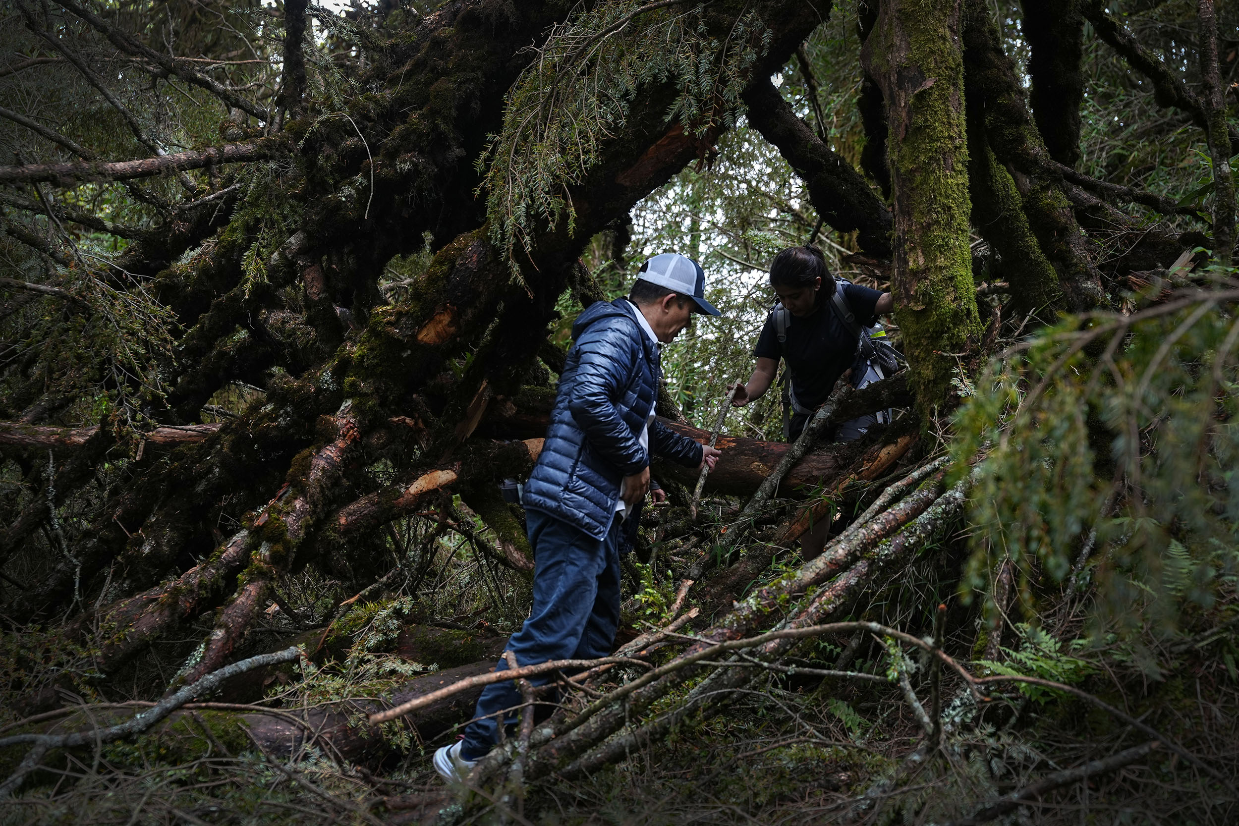 Ghopteghyang-to-Thorepati_Hiking_NPL-PCT_-(13)-1782532564.JPG