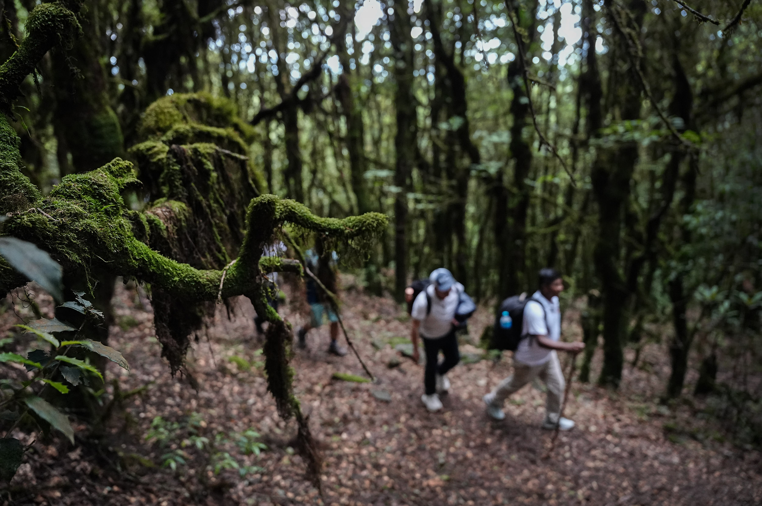 Ghopteghyang-to-Thorepati_Hiking_NPL-PCT_-(8)-1782532559.JPG