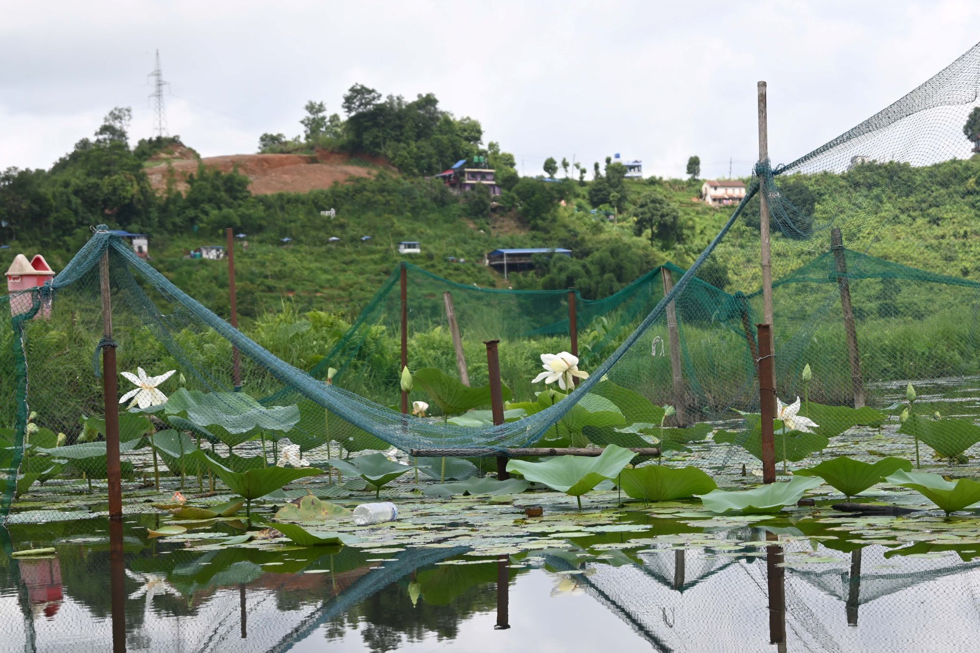 Gudepokhari,-pokhara_-567-1751255554.jpg
