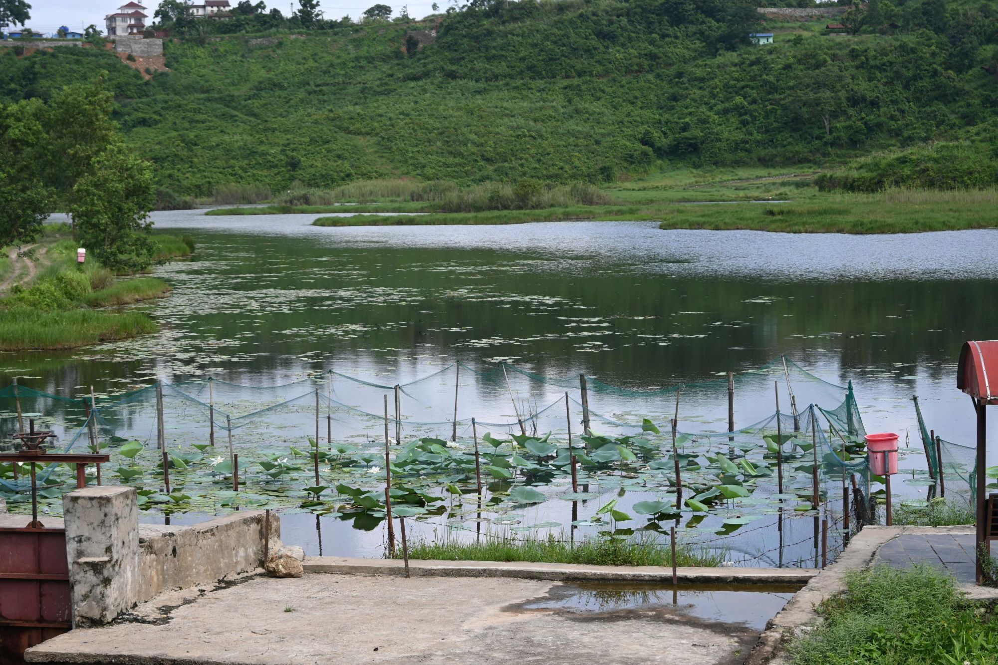 Gudepokhari,-pokhara_-568-1751255555.jpg