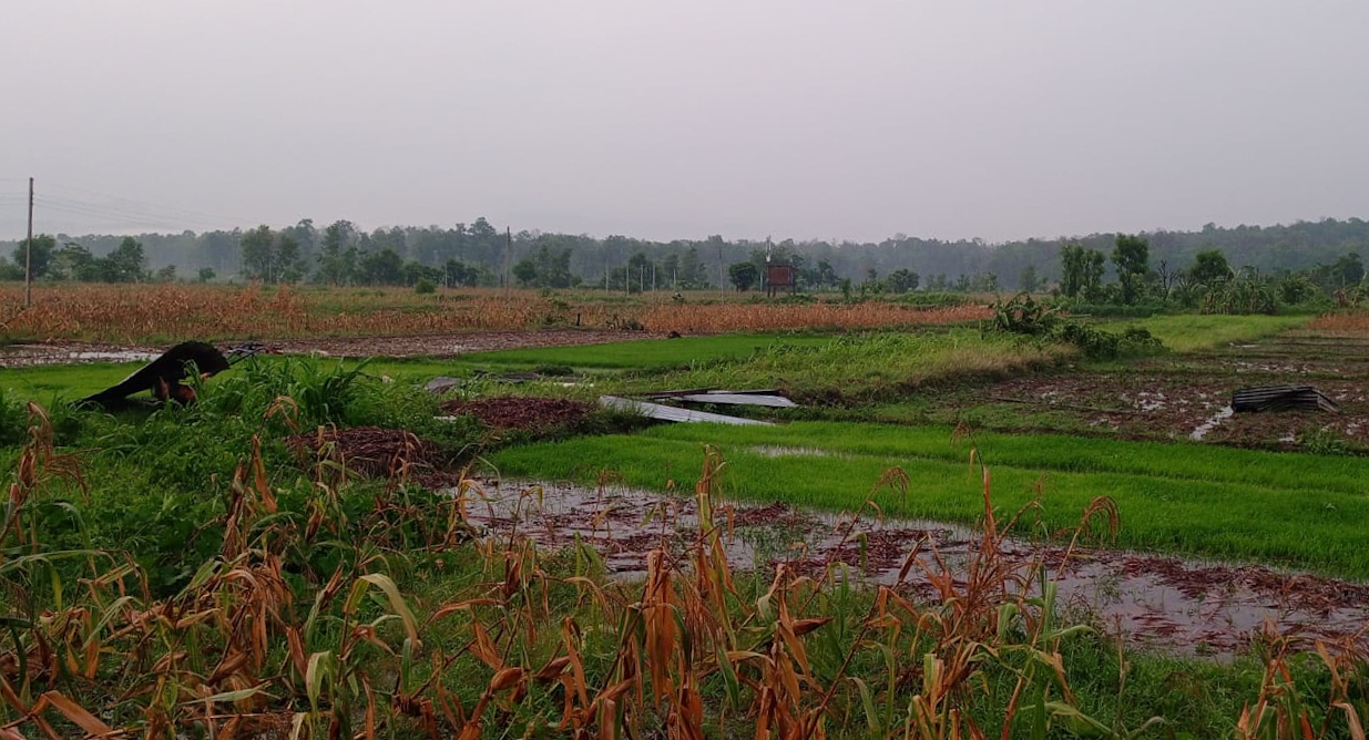 Huri--(1)-1781074390.jpg