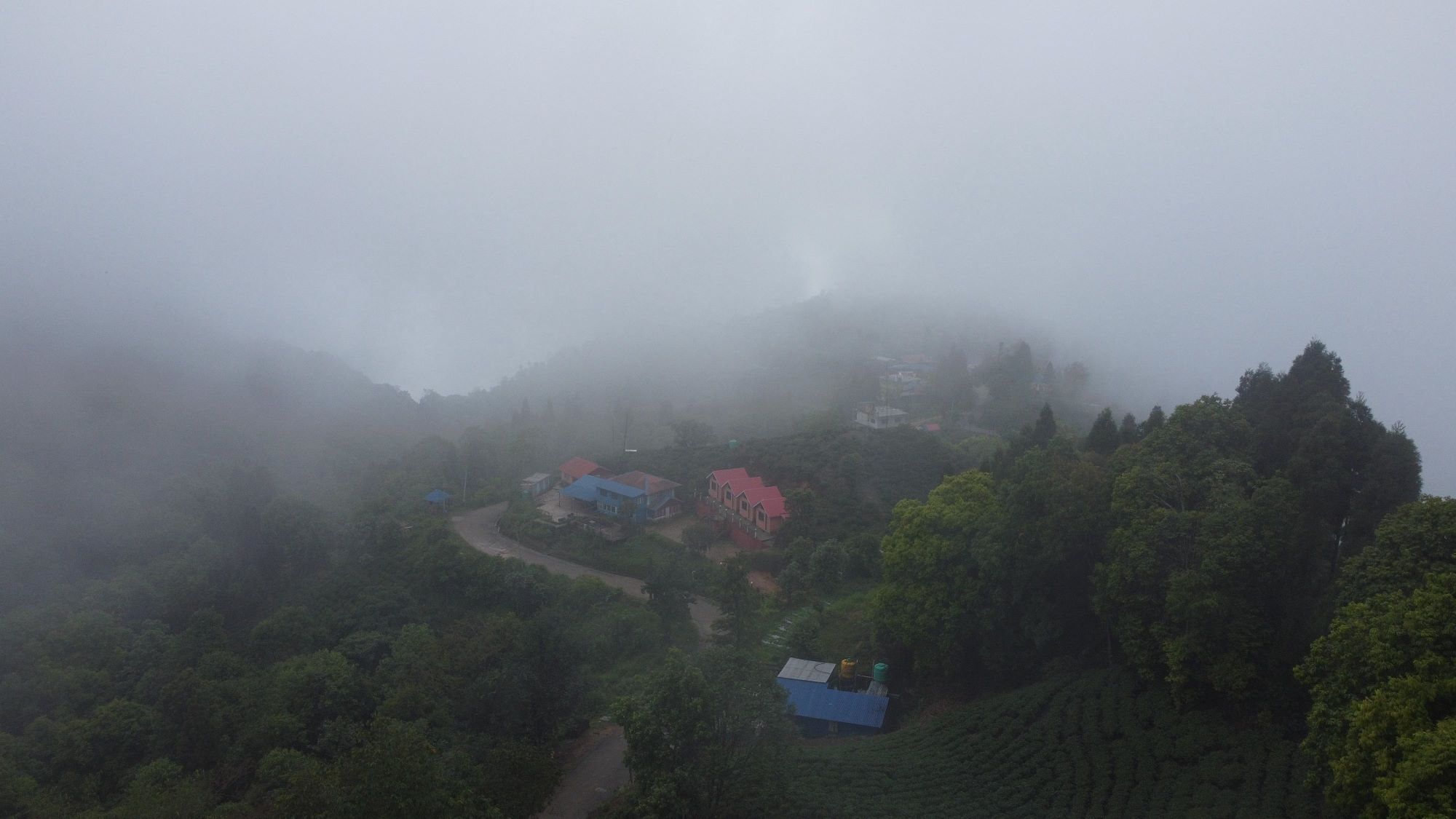 Ilam-antu-dada-(2)-1747883136.jpg