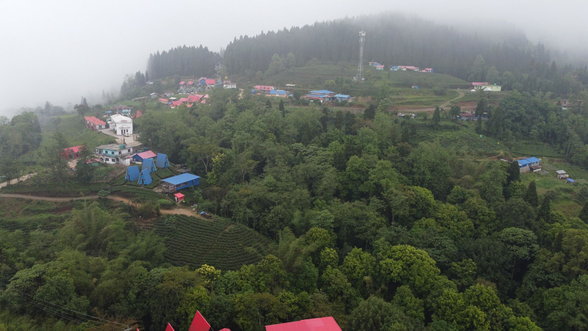 Ilam-antu-dada-(3)-1747883136.jpg