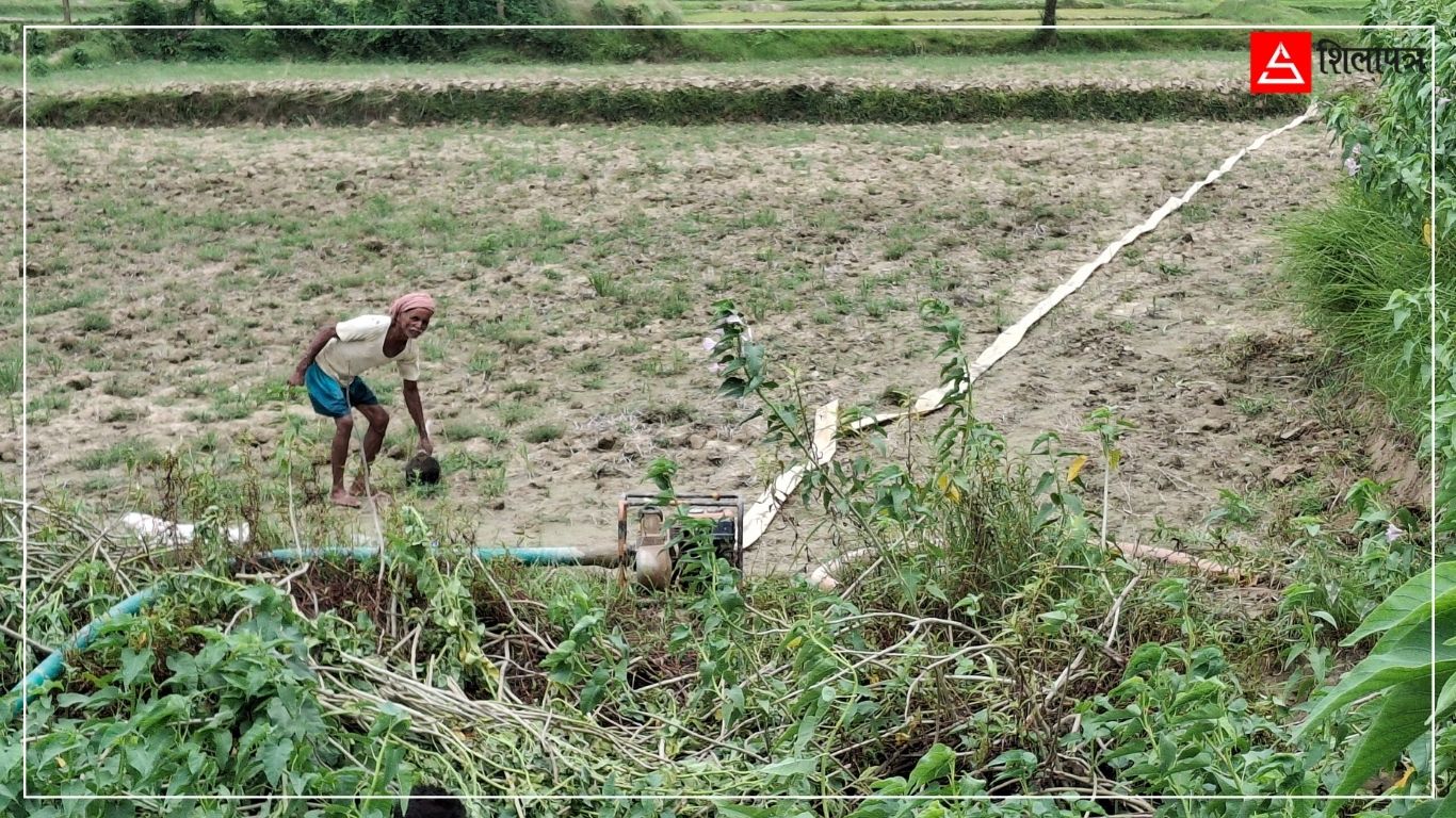 मधेशमा सिँचाइमा करोडौँ खर्च, किसान आकाशे पानीको आसमा