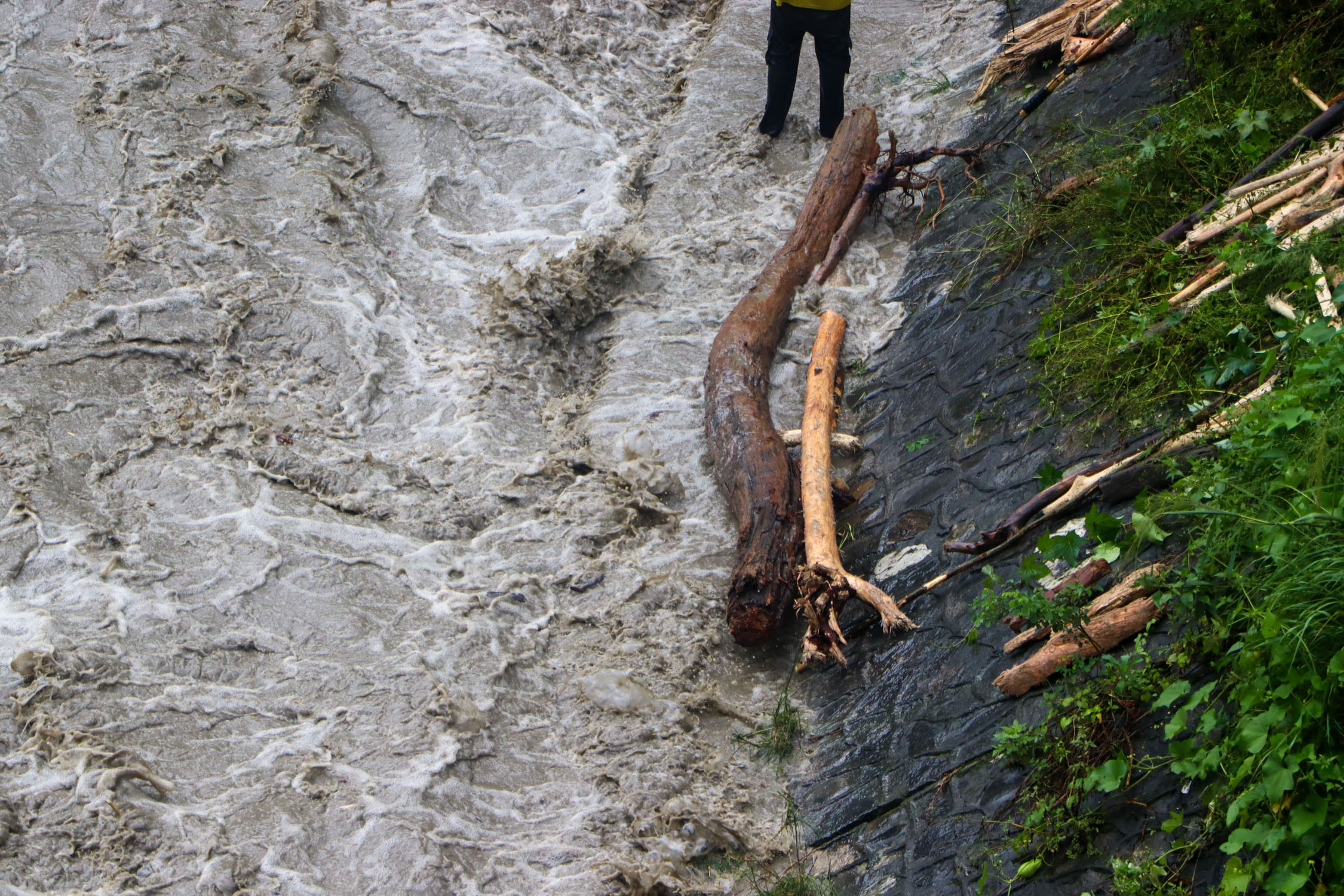 Kaligandaki-Wood-Collection-During-Flood_NPL-(8)-1790421890.JPG
