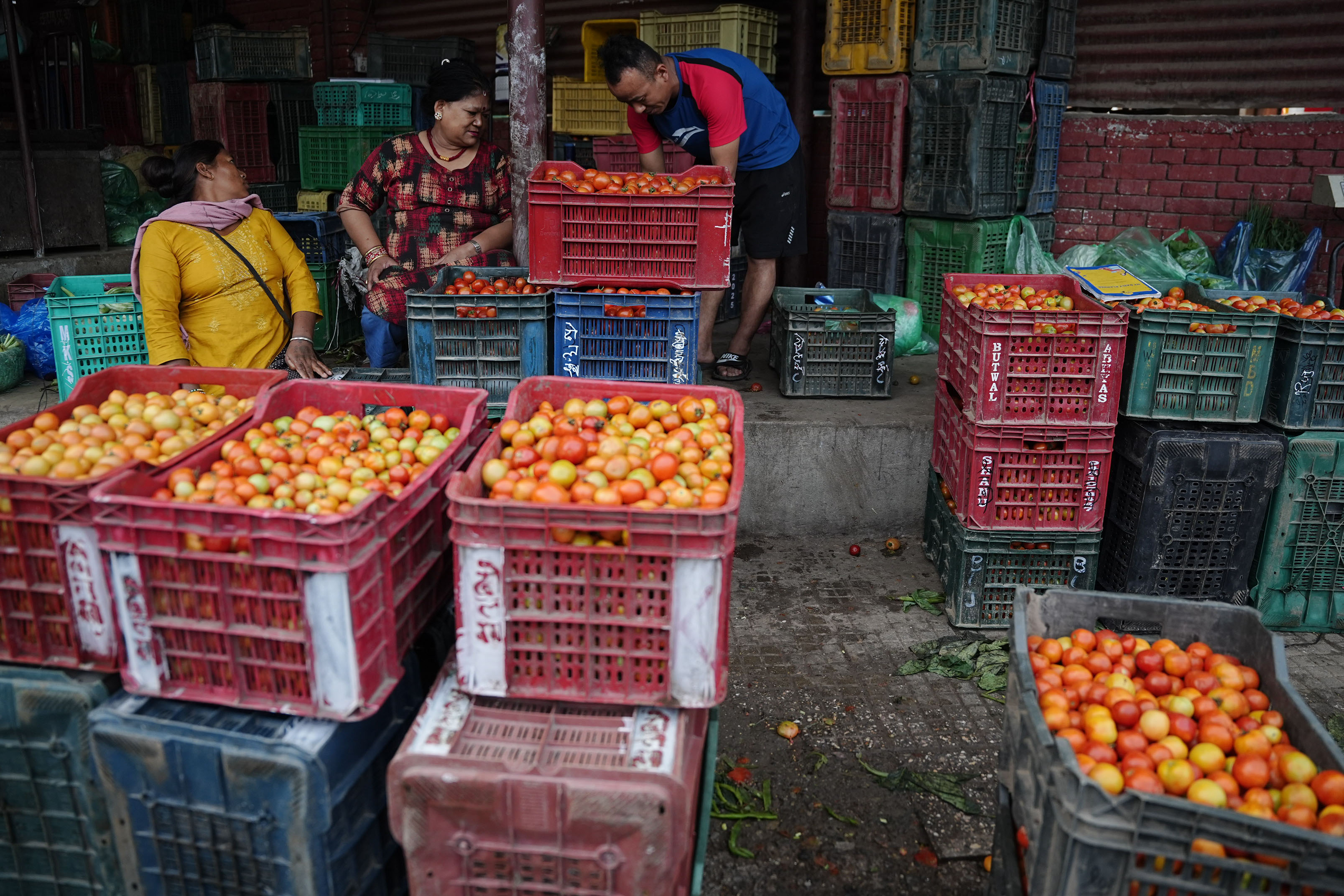 Kalimati-Tarkari-Bazar_DSC00334-1784170648.jpg