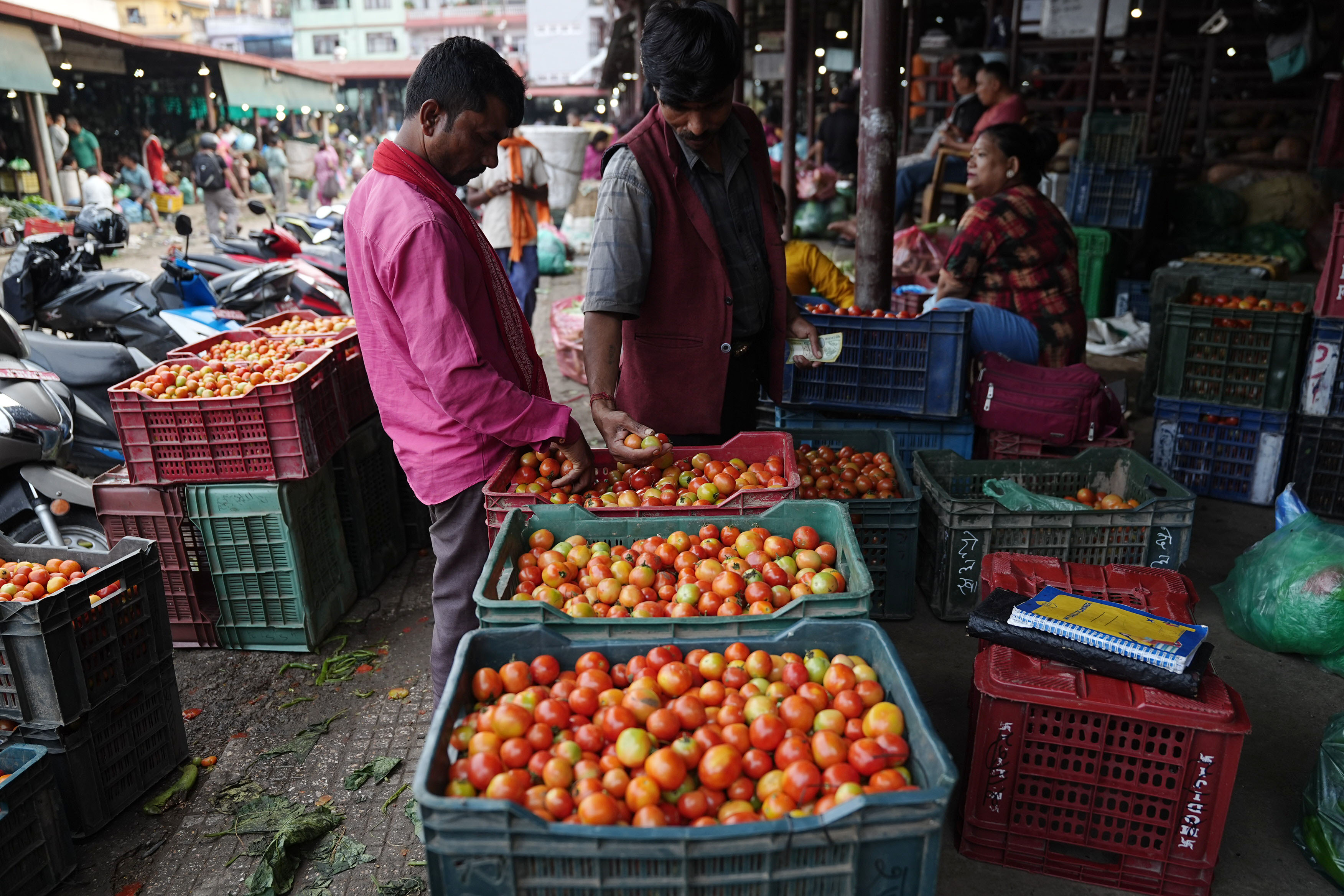 Kalimati-Tarkari-Bazar_DSC00337-1784170648.jpg