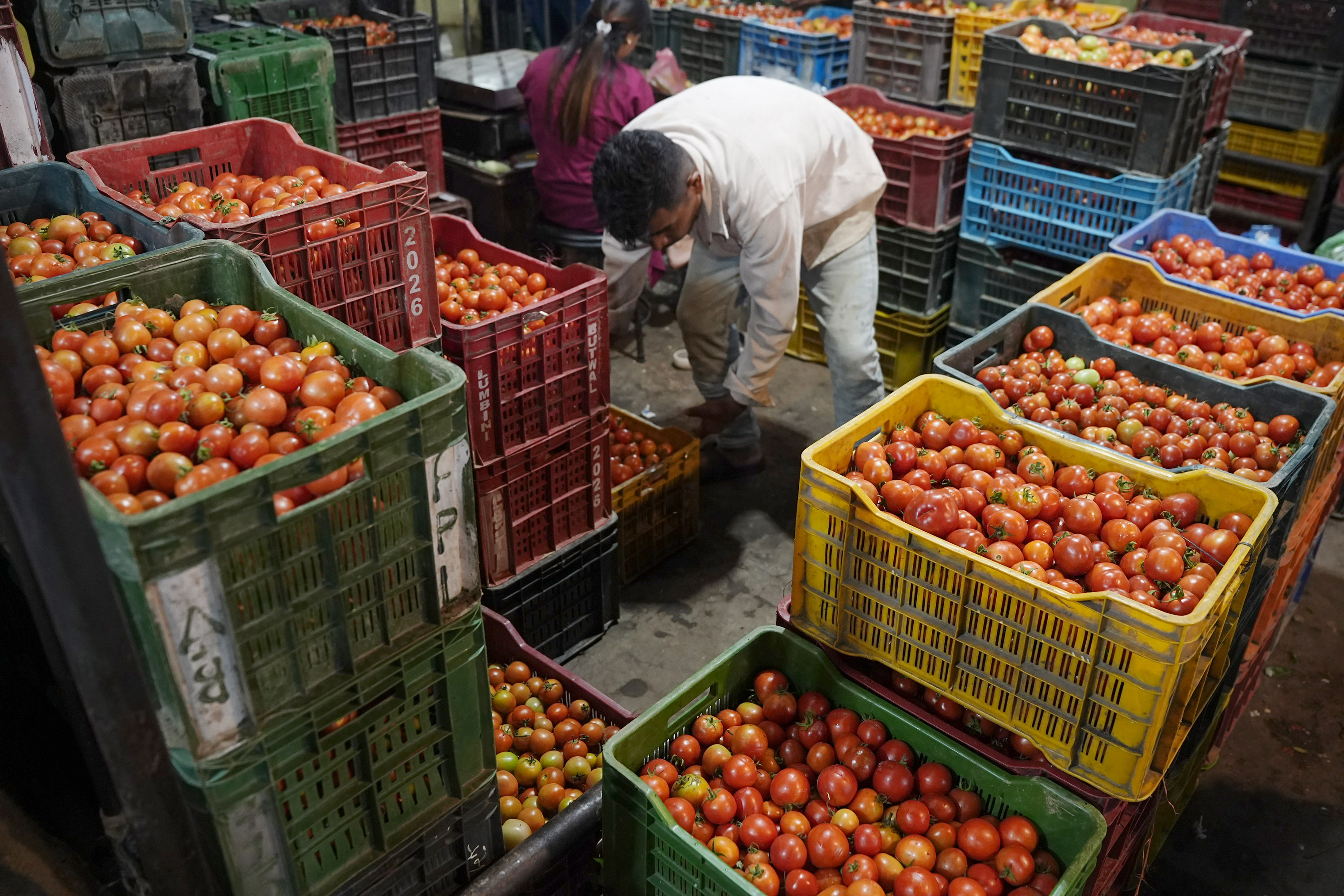 Kalimati-Tarkari-Bazar_DSC00348-1784170650.jpg