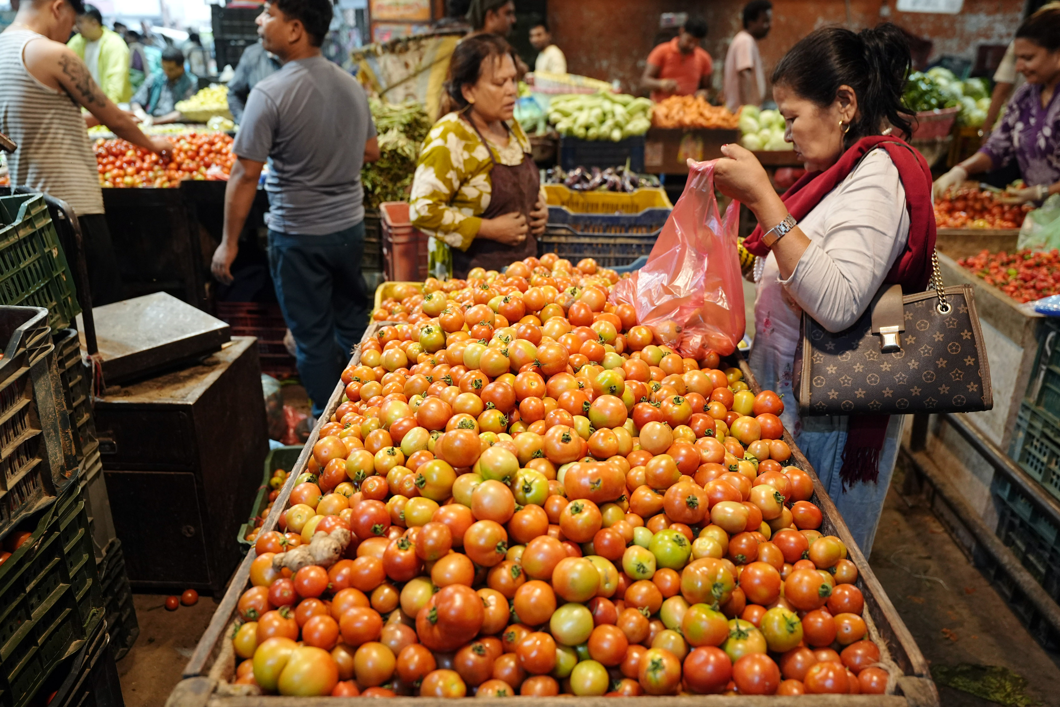 Kalimati-Tarkari-Bazar_DSC00379-1784170653.jpg