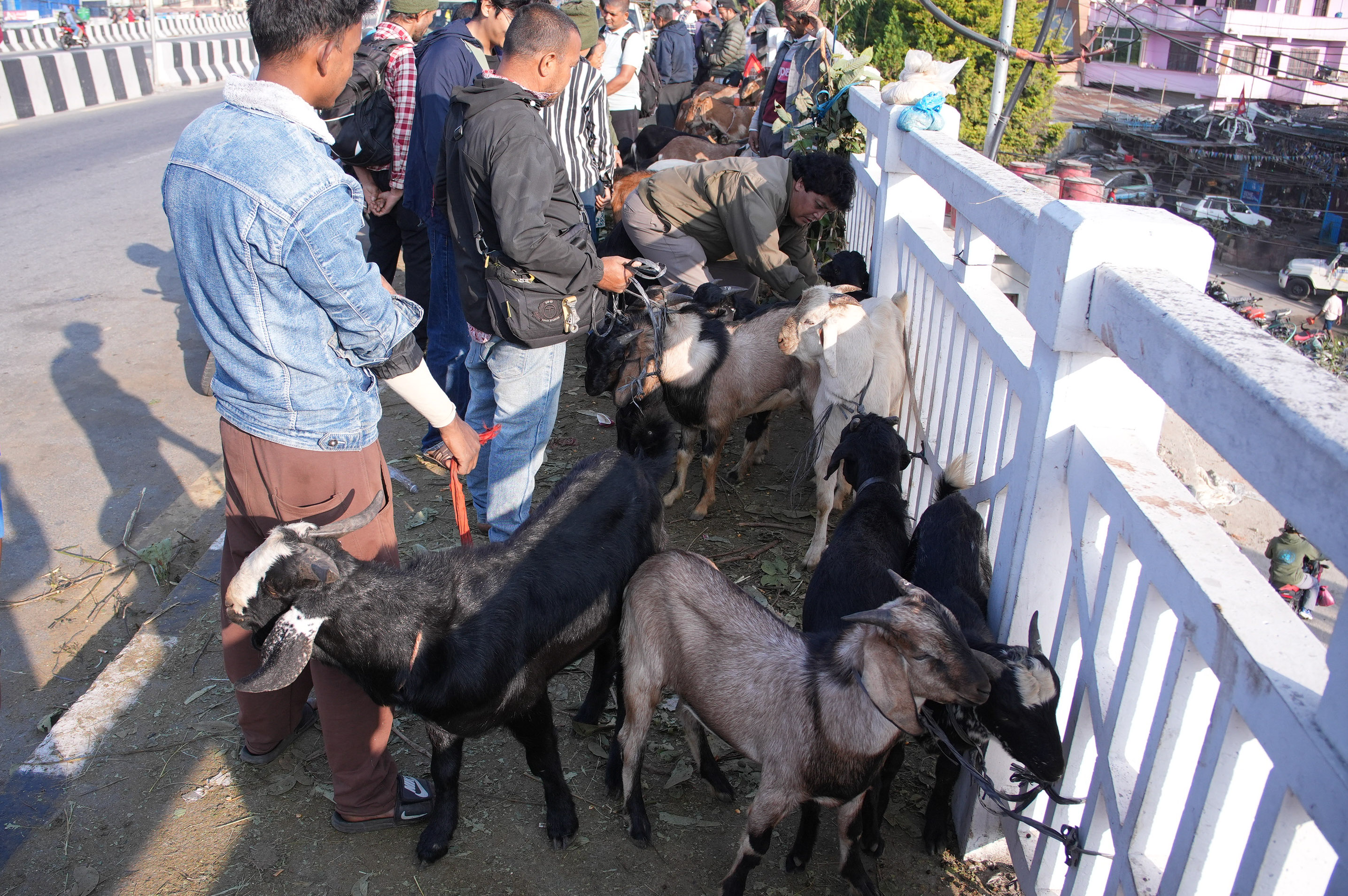 Khasi-Boka-Market--2275-1792293033.jpg