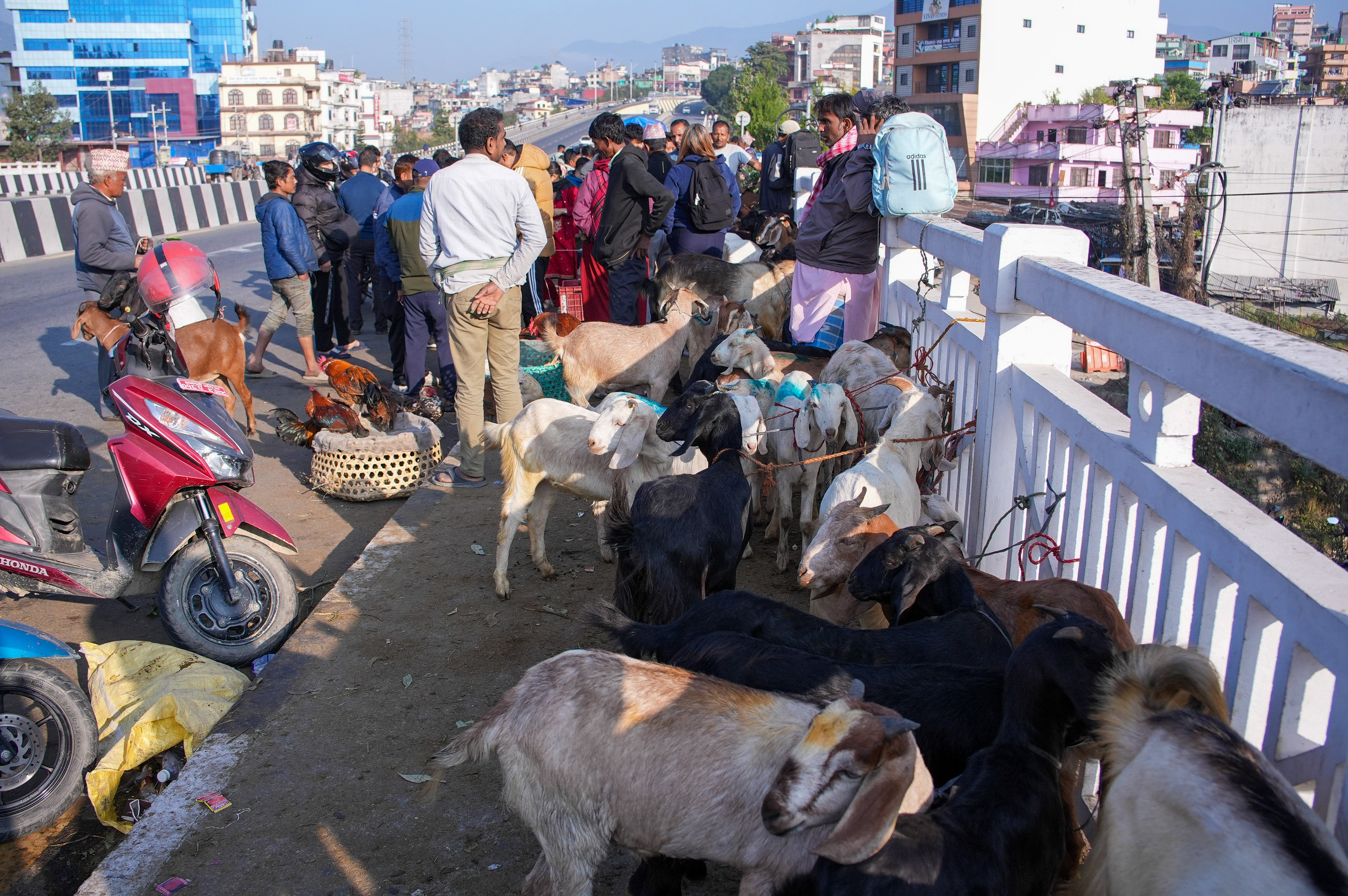Khasi-Boka-Market--2276-1792293034.jpg