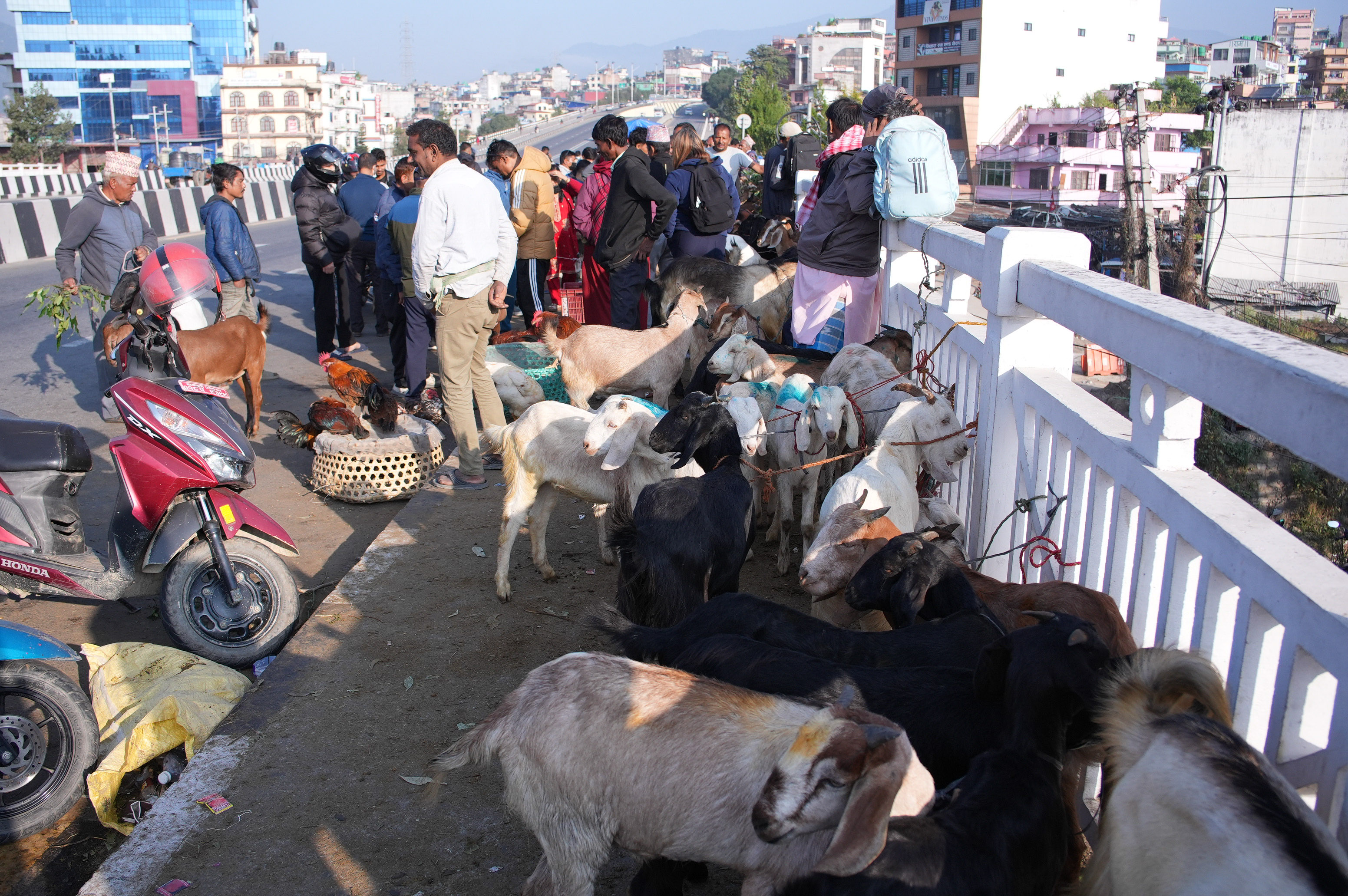 Khasi-Boka-Market--2277-1792293035.jpg