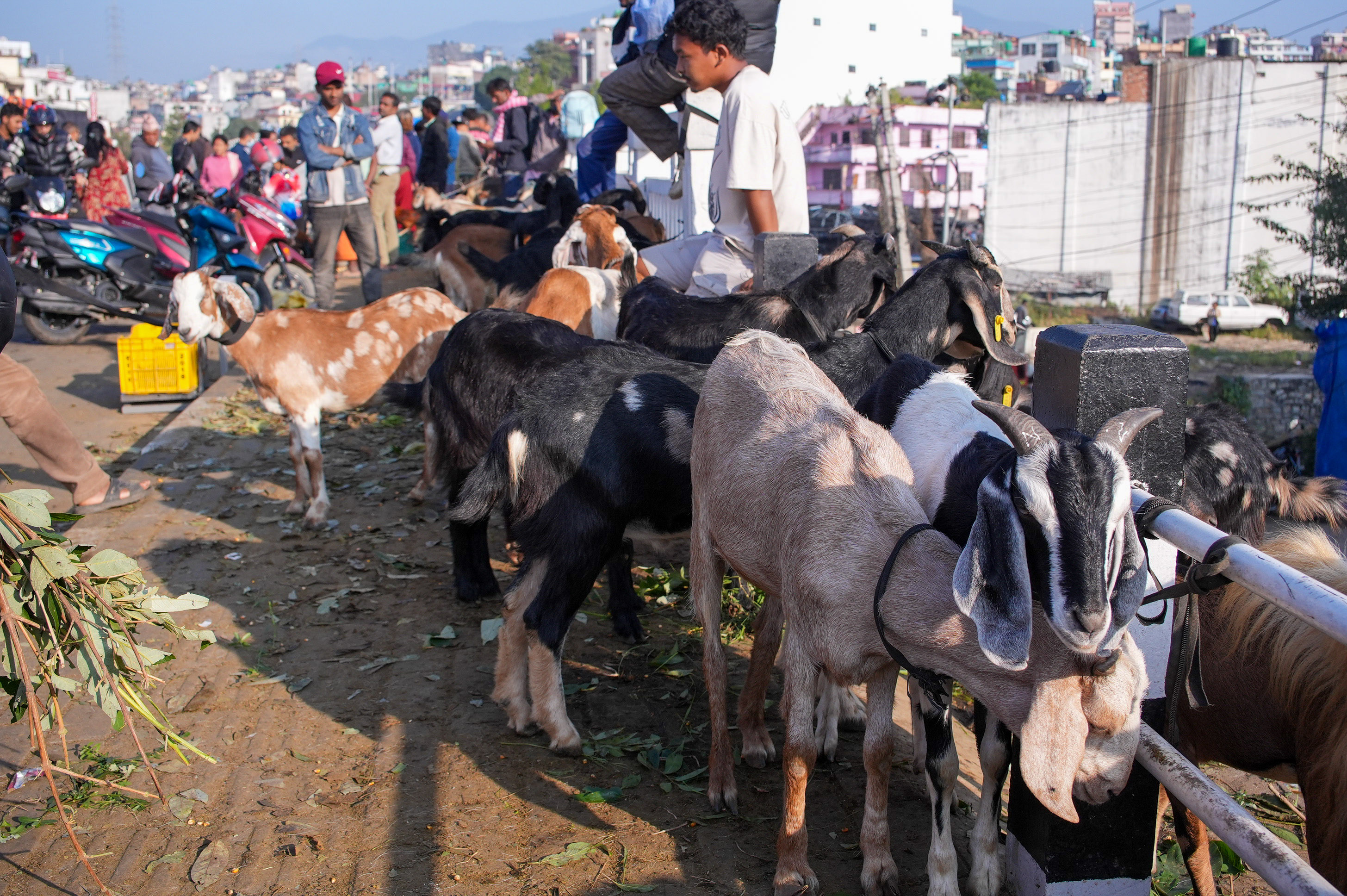 Khasi-Boka-Market--2279-1792293037.jpg
