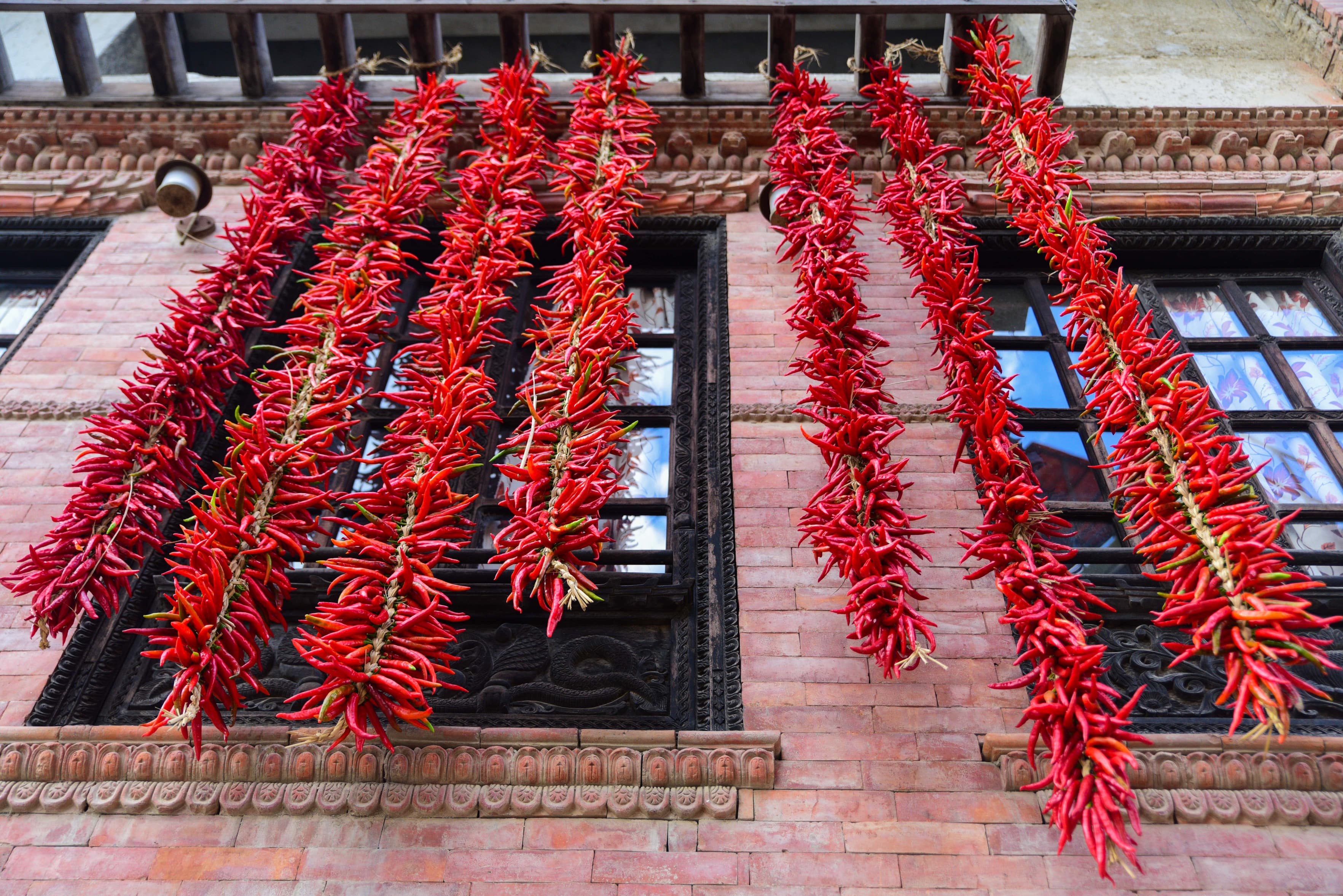 Khokana-Red-chilli_NPL-(11)-1754544426.jpeg