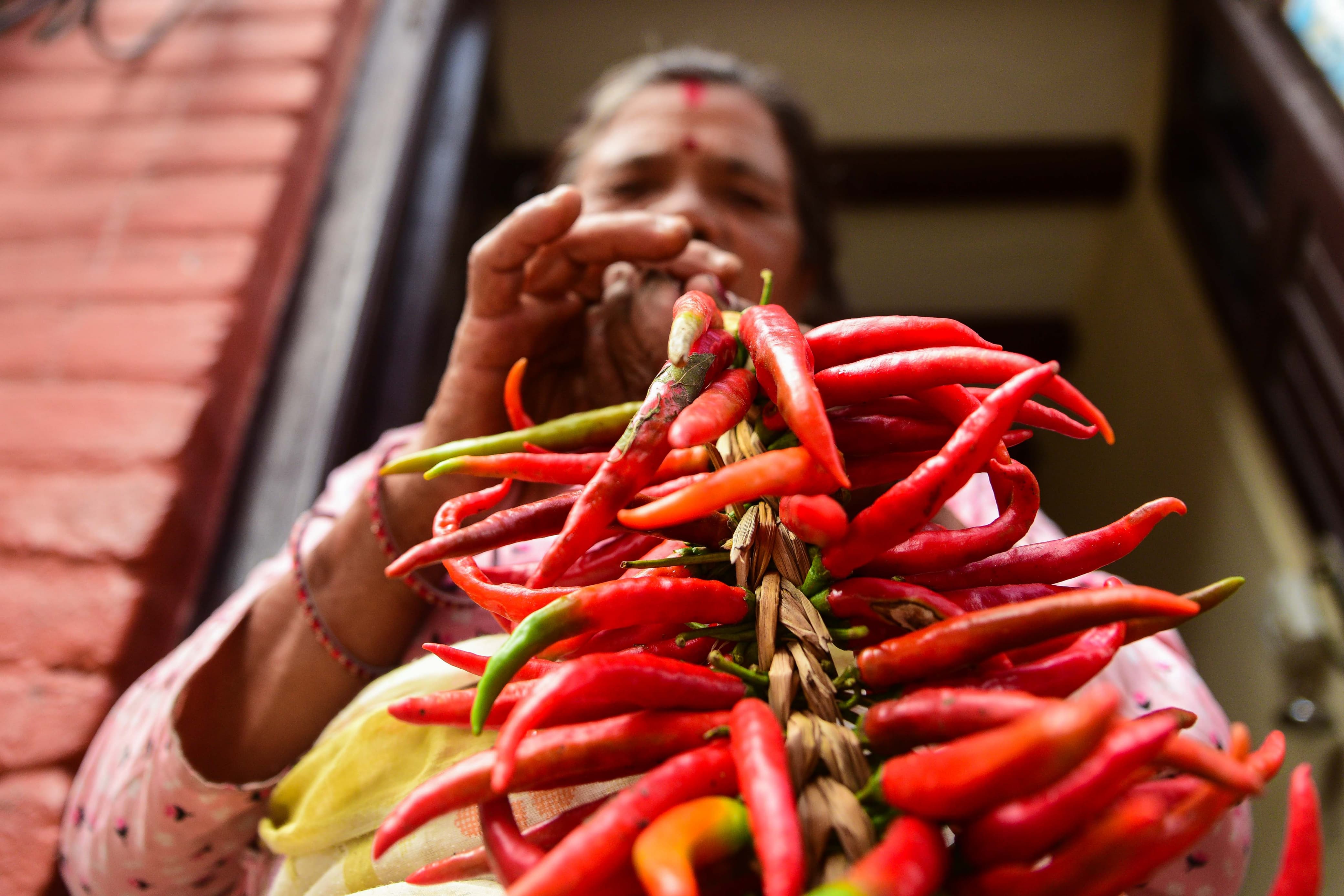 Khokana-Red-chilli_NPL-(14)-1754544423.jpeg