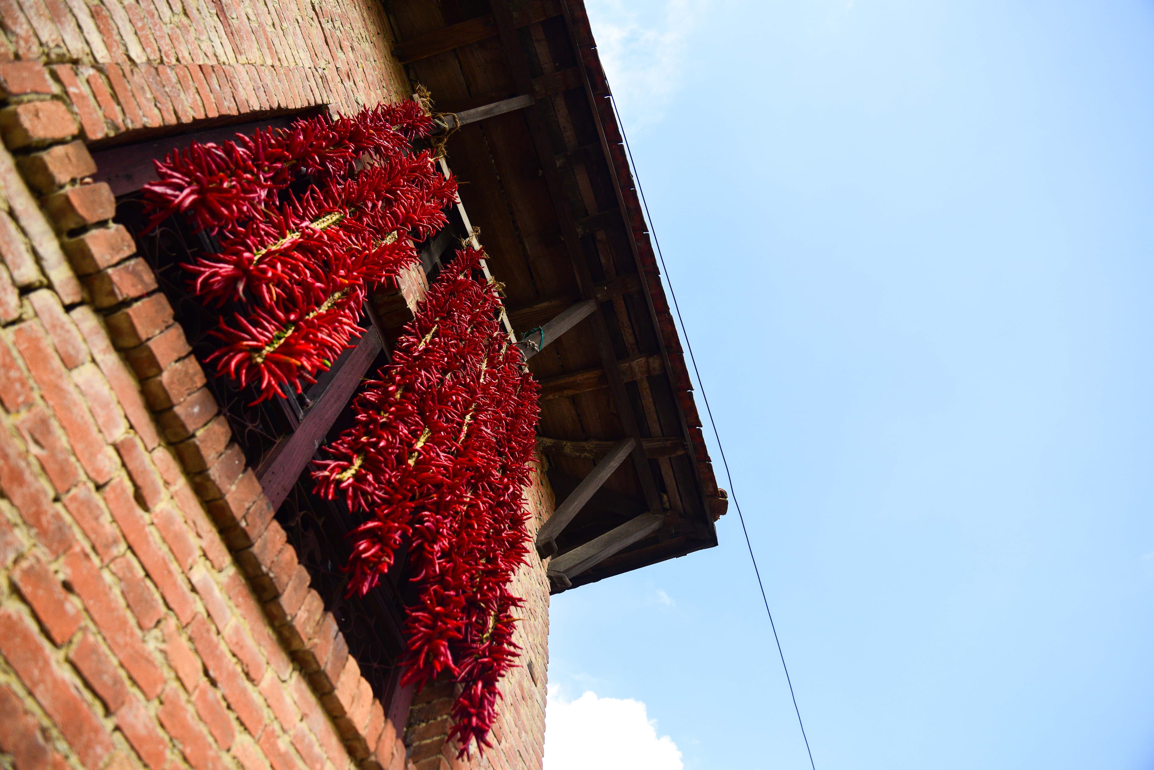 Khokana-Red-chilli_NPL-(22)-1754544418.jpeg