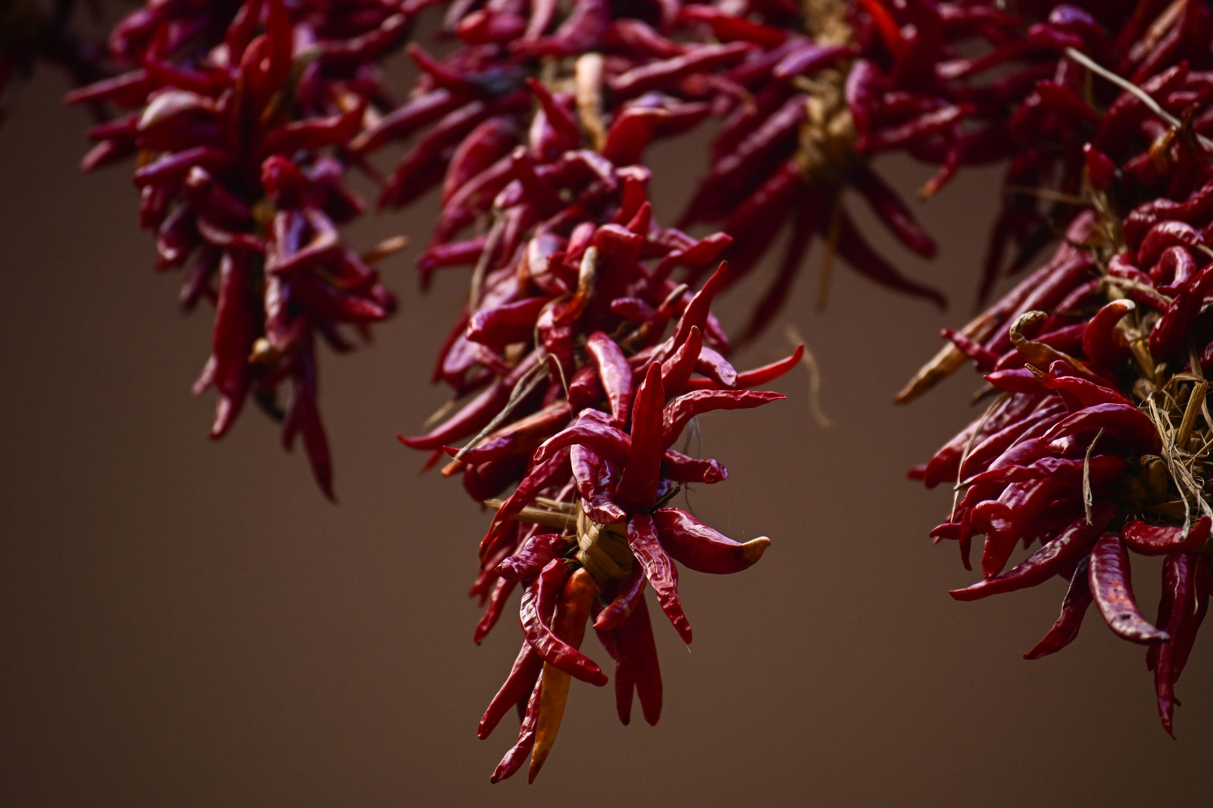 Khokana-Red-chilli_NPL-(9)-1754544428.jpeg