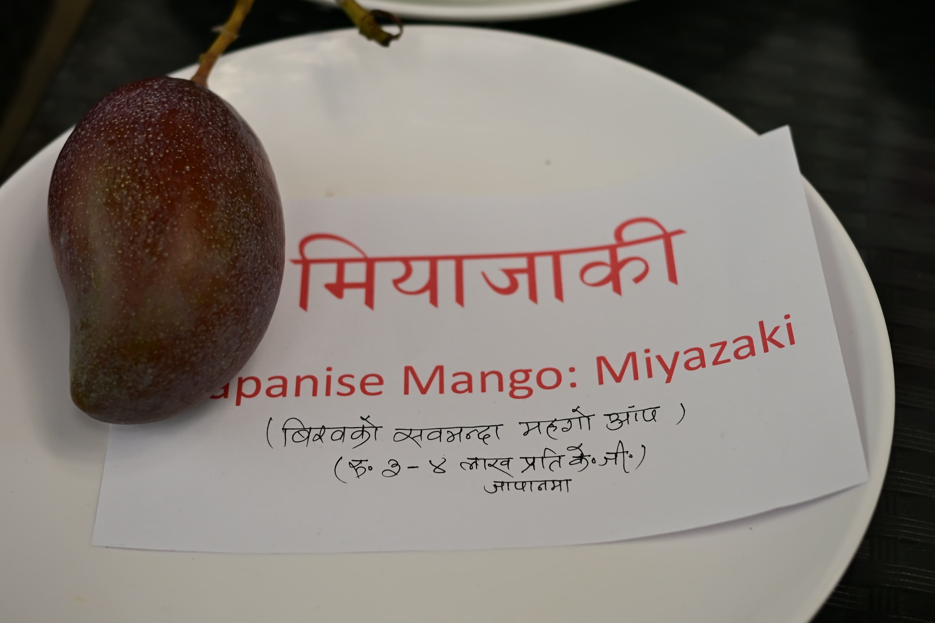 Mango-mela-(3)-1751019017.jpeg