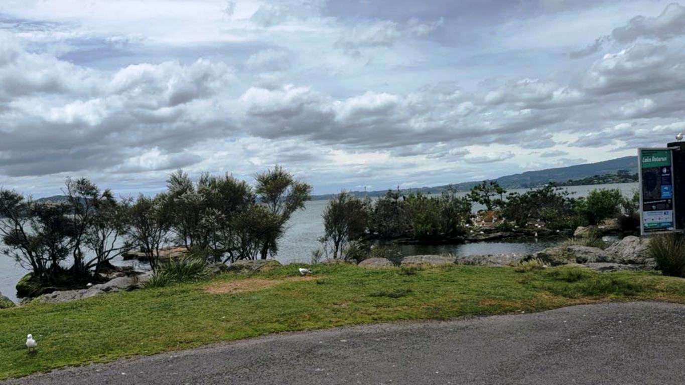Maori-2-1752736529.jpeg
