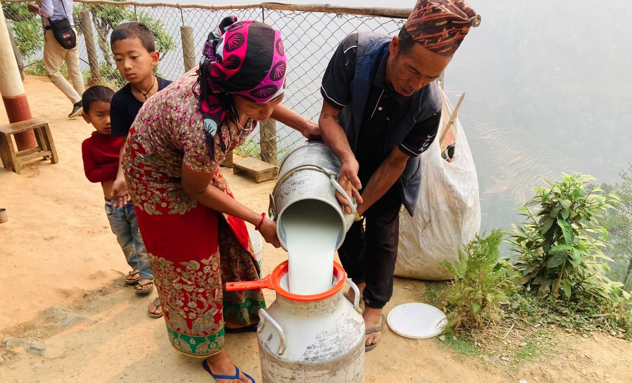 भारतमा दूधको मूल्य बढेपछि स्थानीय किसानलाई राहत, नेपाली उत्पादन भारत जान थाल्यो