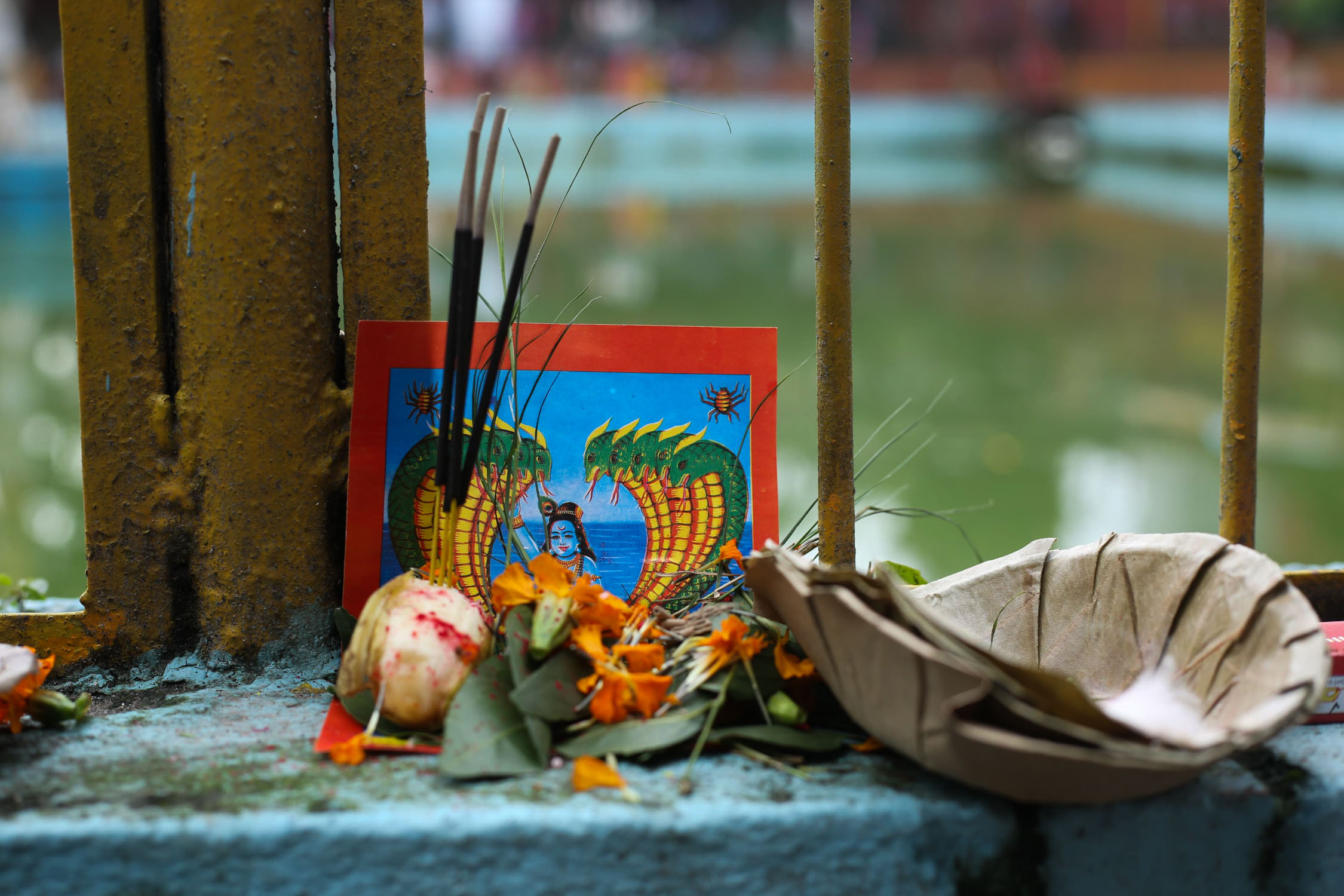 Naag-Panchami_Nepal-Photo-Library4-1753758079.jpg