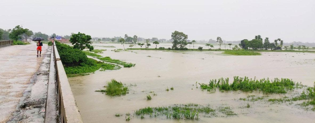 बाढीको उच्च जोखिममा रहेका तराईका २३ जिल्लामा उच्च सतर्कता