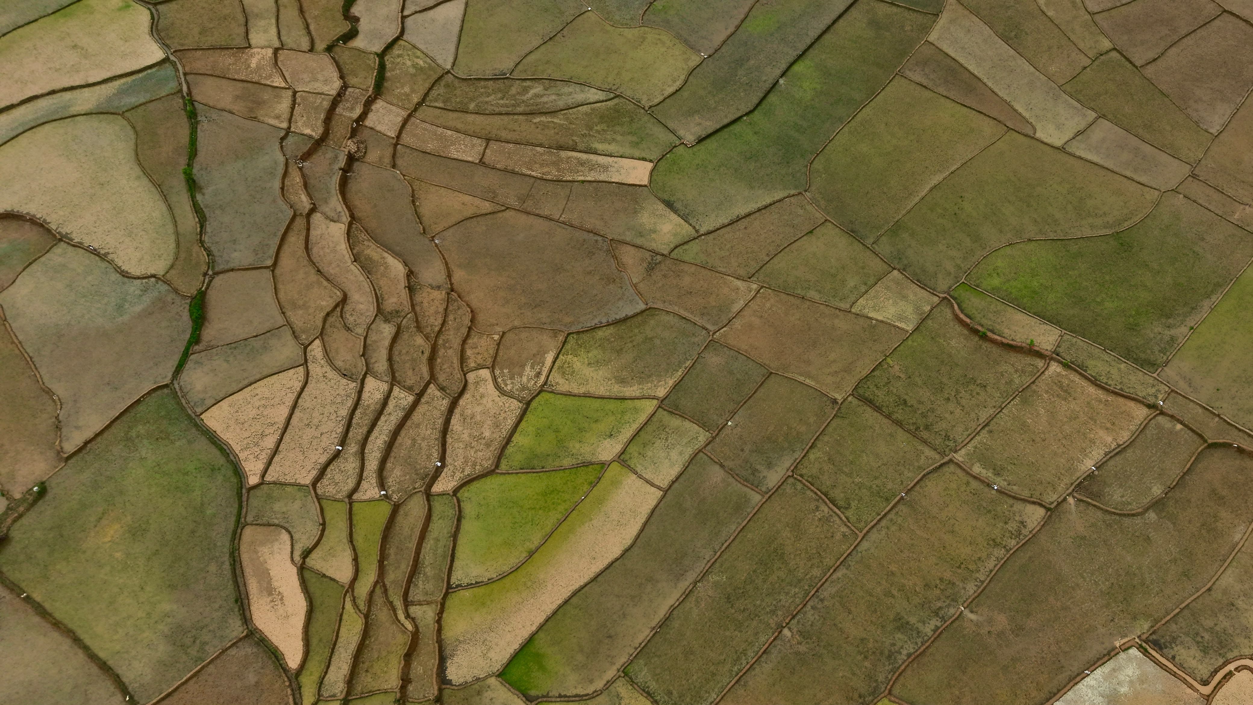 Nuwakot-Dhading-Gagate_Rice-field_NPL10-1784092921.jpeg