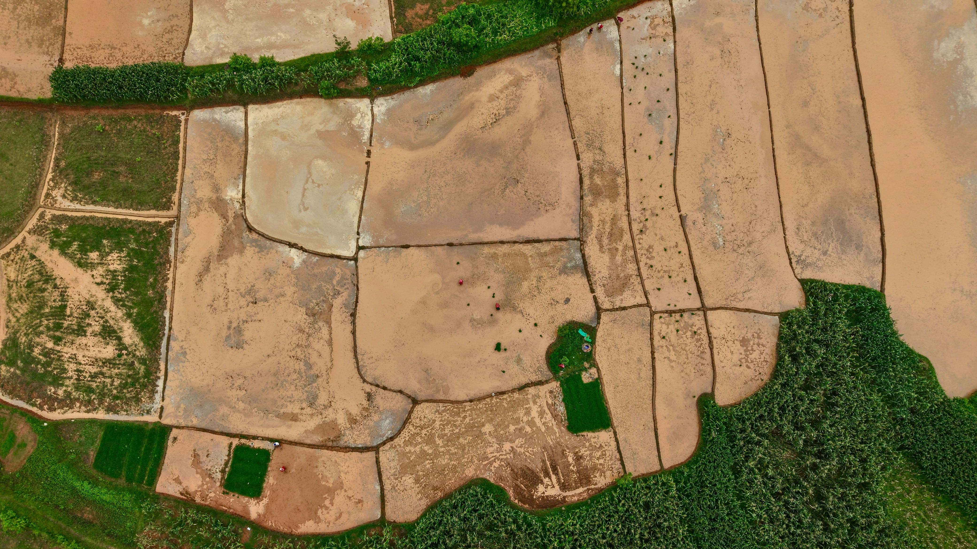 Nuwakot-Dhading-Gagate_Rice-field_NPL2-1784092908.jpeg