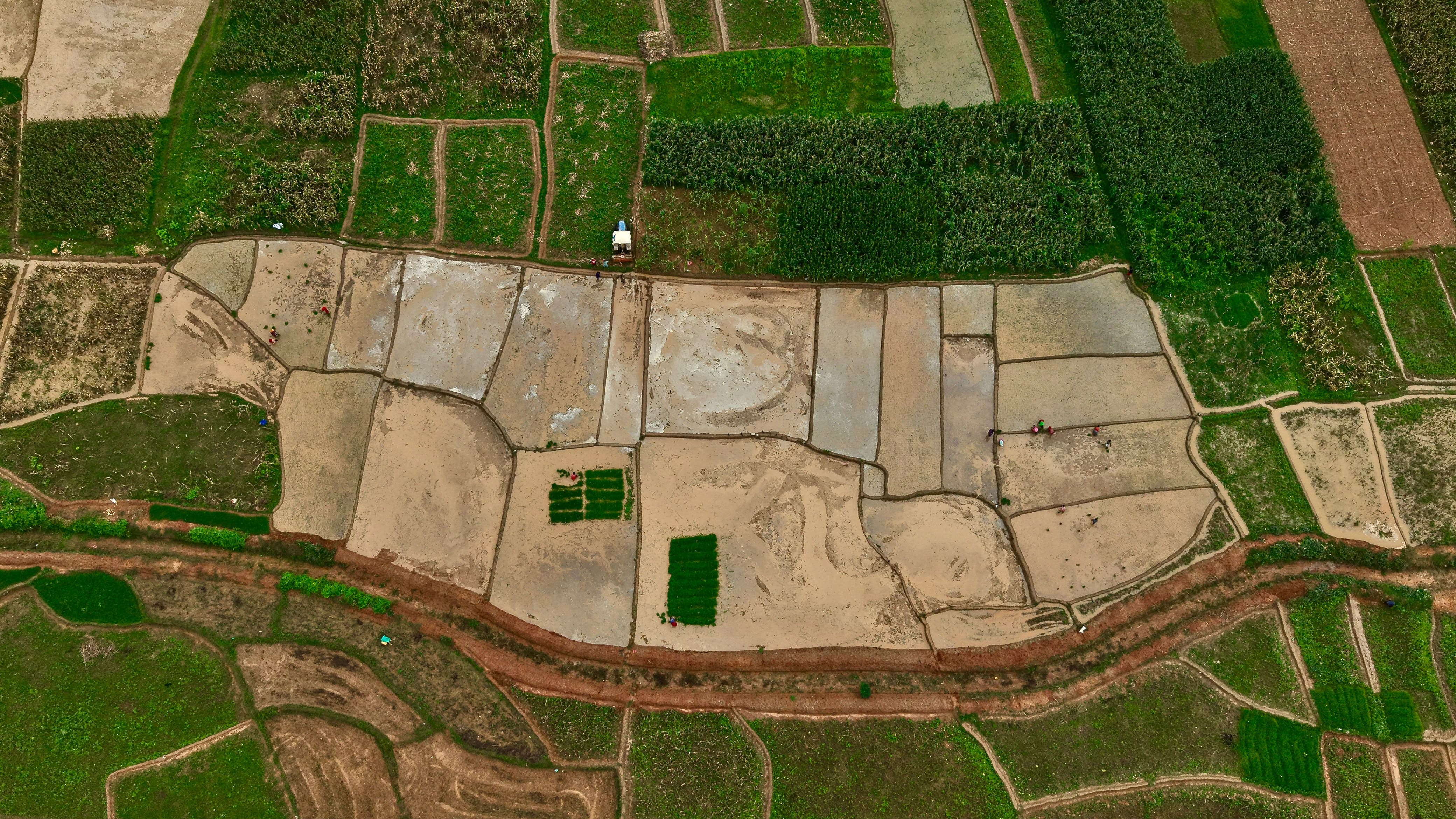 Nuwakot-Dhading-Gagate_Rice-field_NPL5-1784092914.jpeg