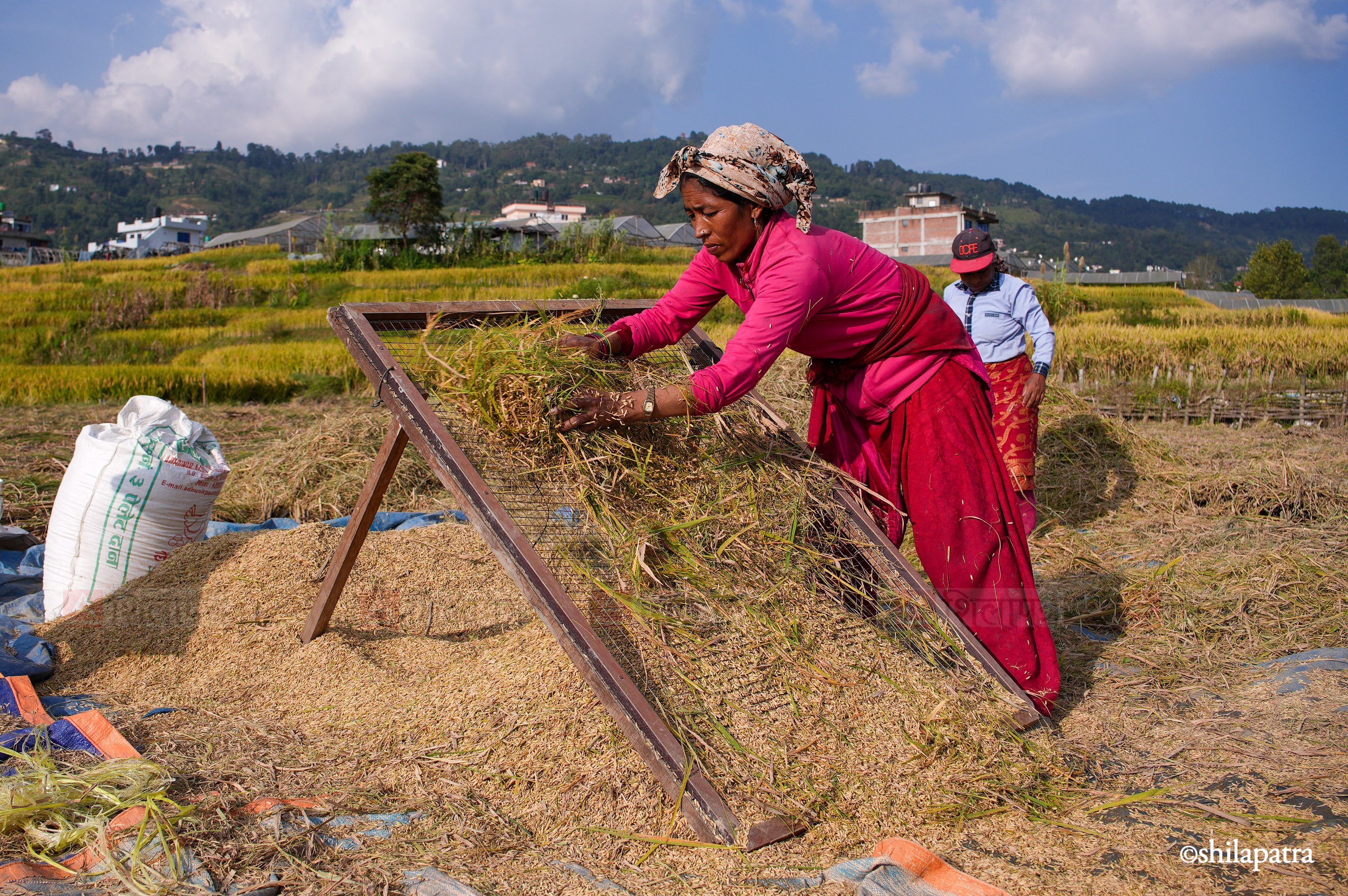 Paddy-Field-Bhakrapur---2151-1792060733.jpg