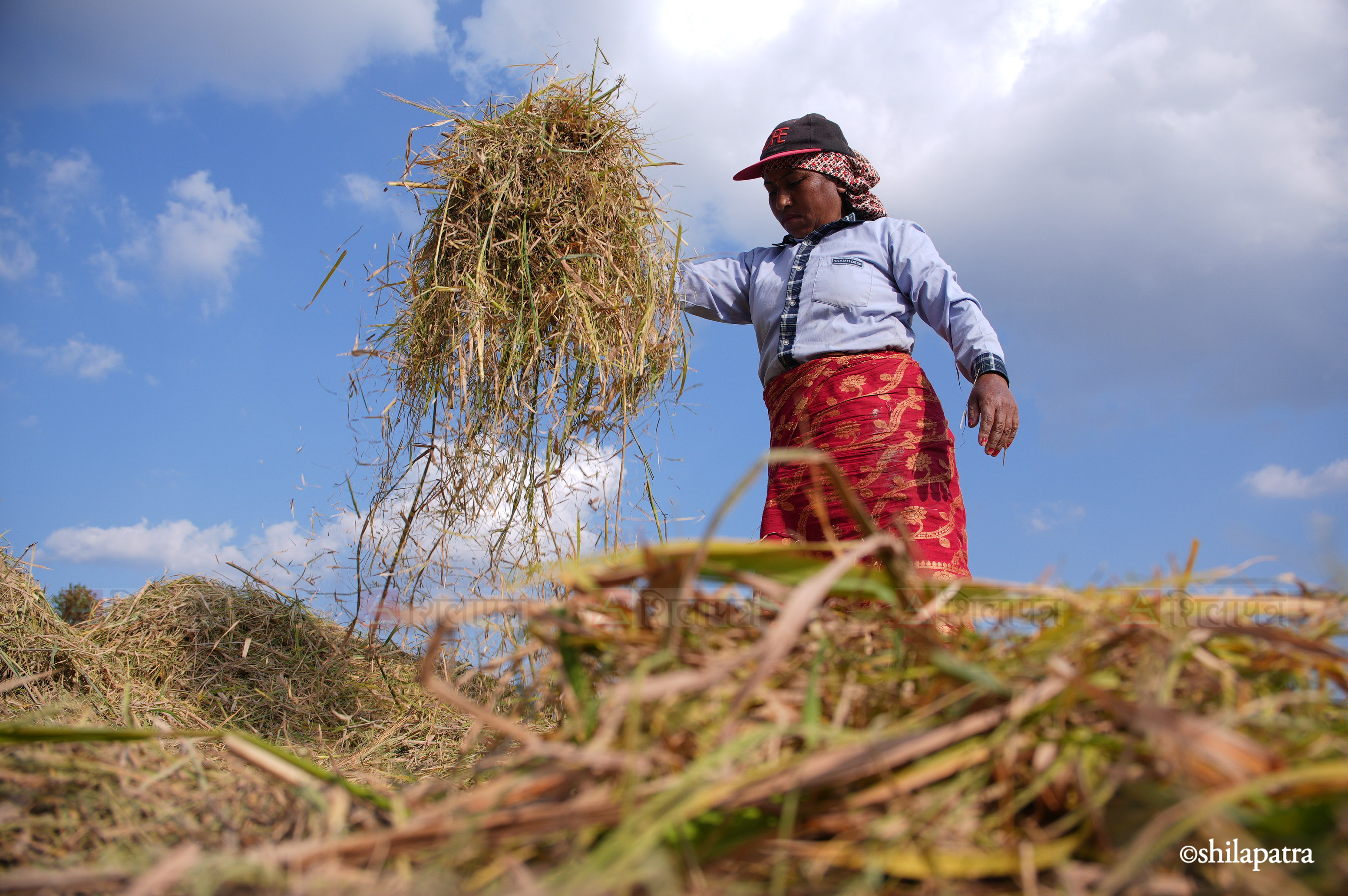 Paddy-Field-Bhakrapur---2153-1792060735.jpg