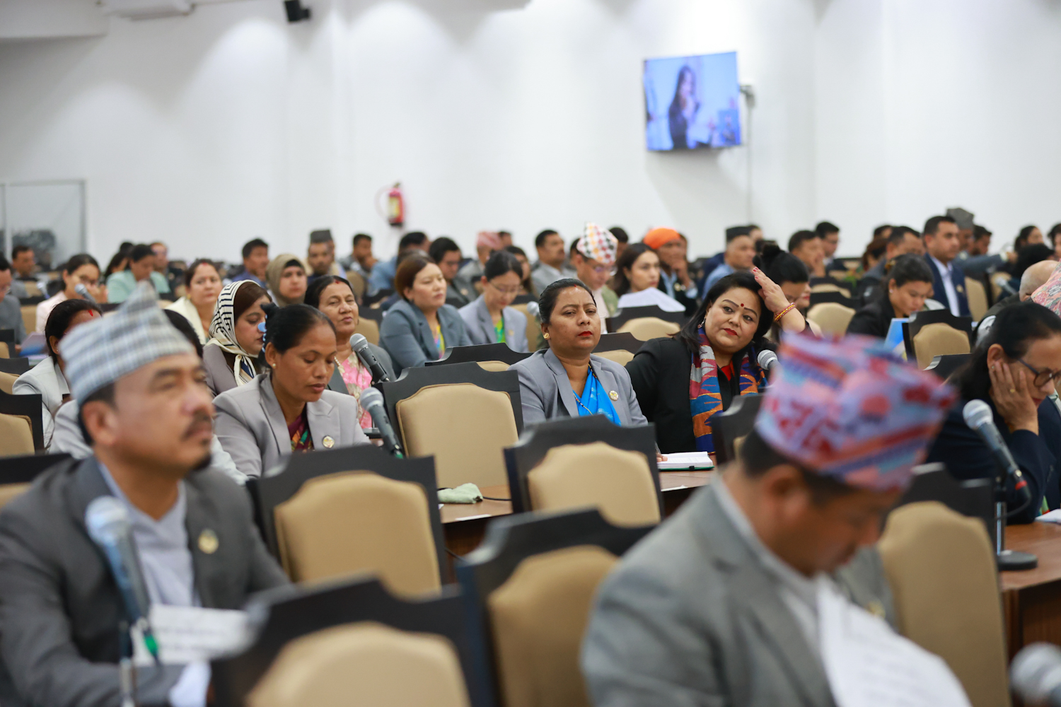 Parliament-Nepal-photo-library-12-1779083286.JPG