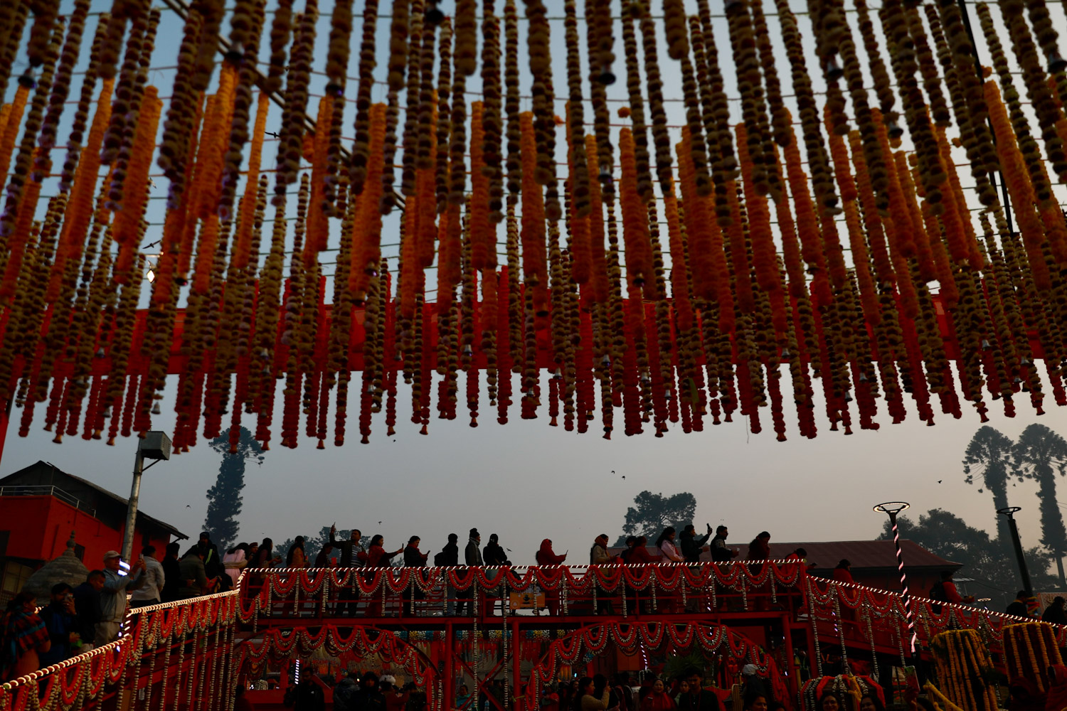 Pashupati_Shivaratri-Nepal-photo-library-03-1771125656.jpg