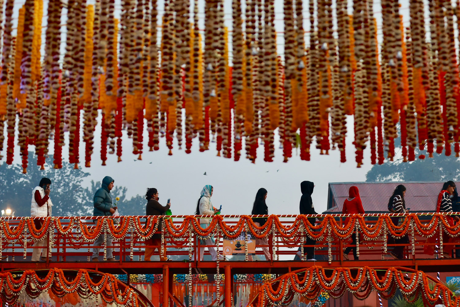 Pashupati_Shivaratri-Nepal-photo-library-07-1771125658.jpg
