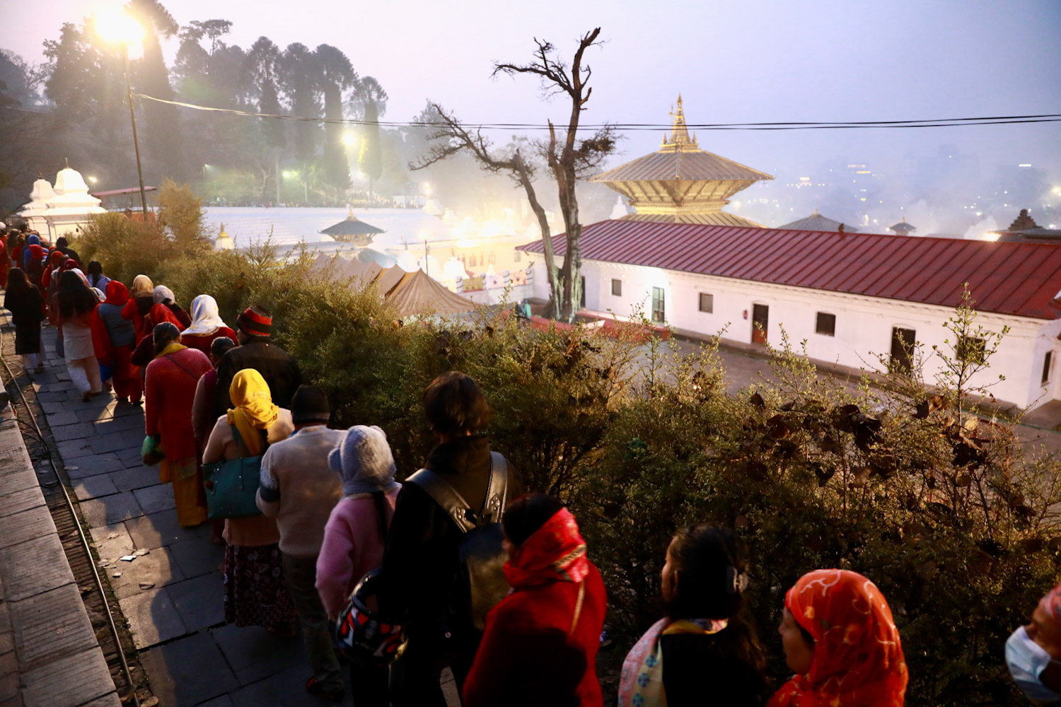 Pashupati_Shivaratri-Nepal-photo-library-12-1771125659.jpg